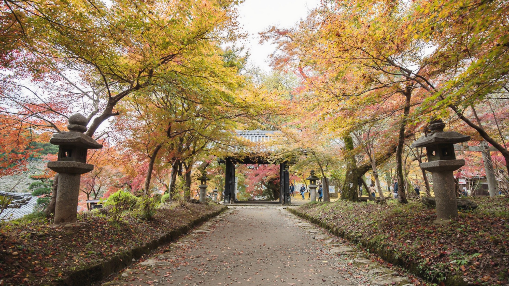 【周辺観光／朝倉市／紅葉と秋月城黒門】