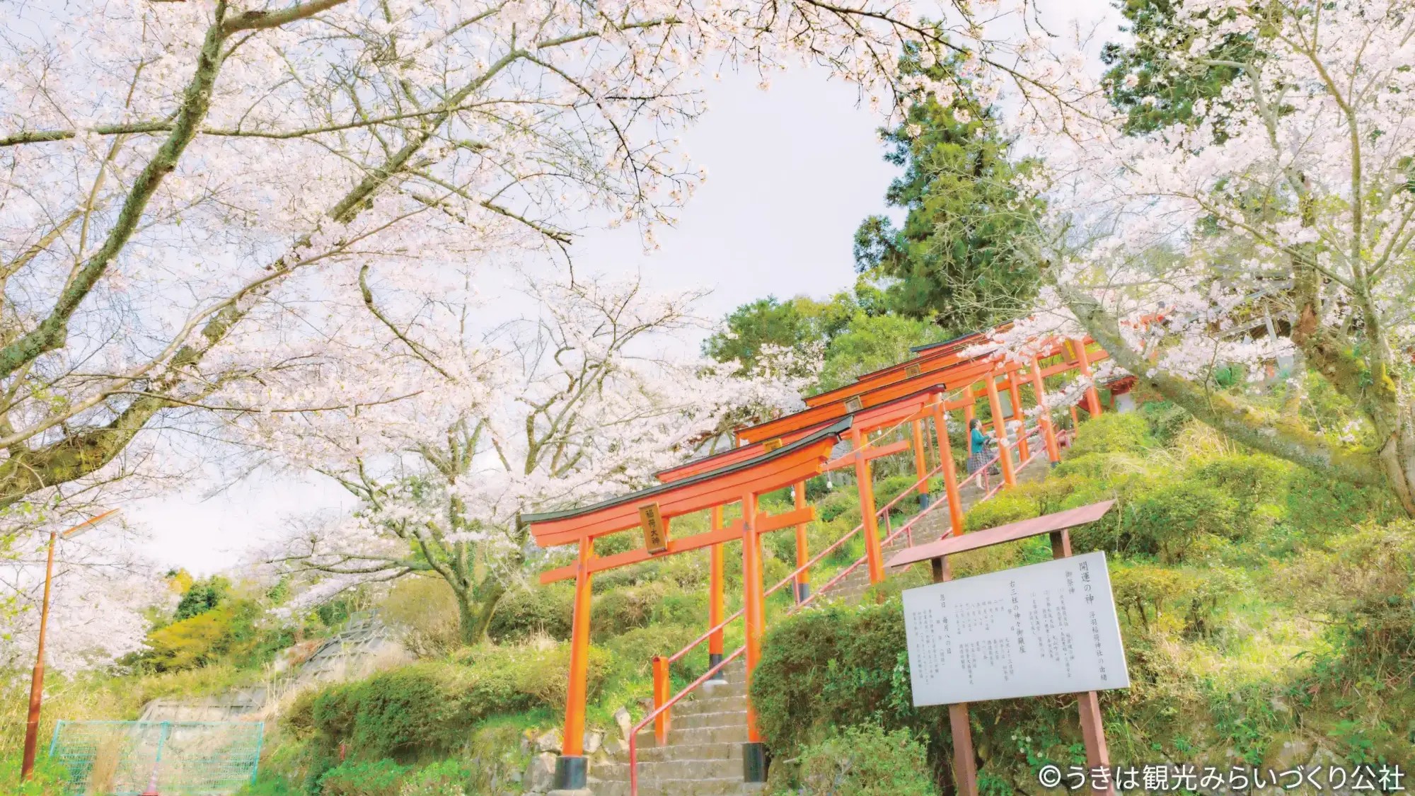 【周辺観光／うきは市／浮羽稲荷神社②】