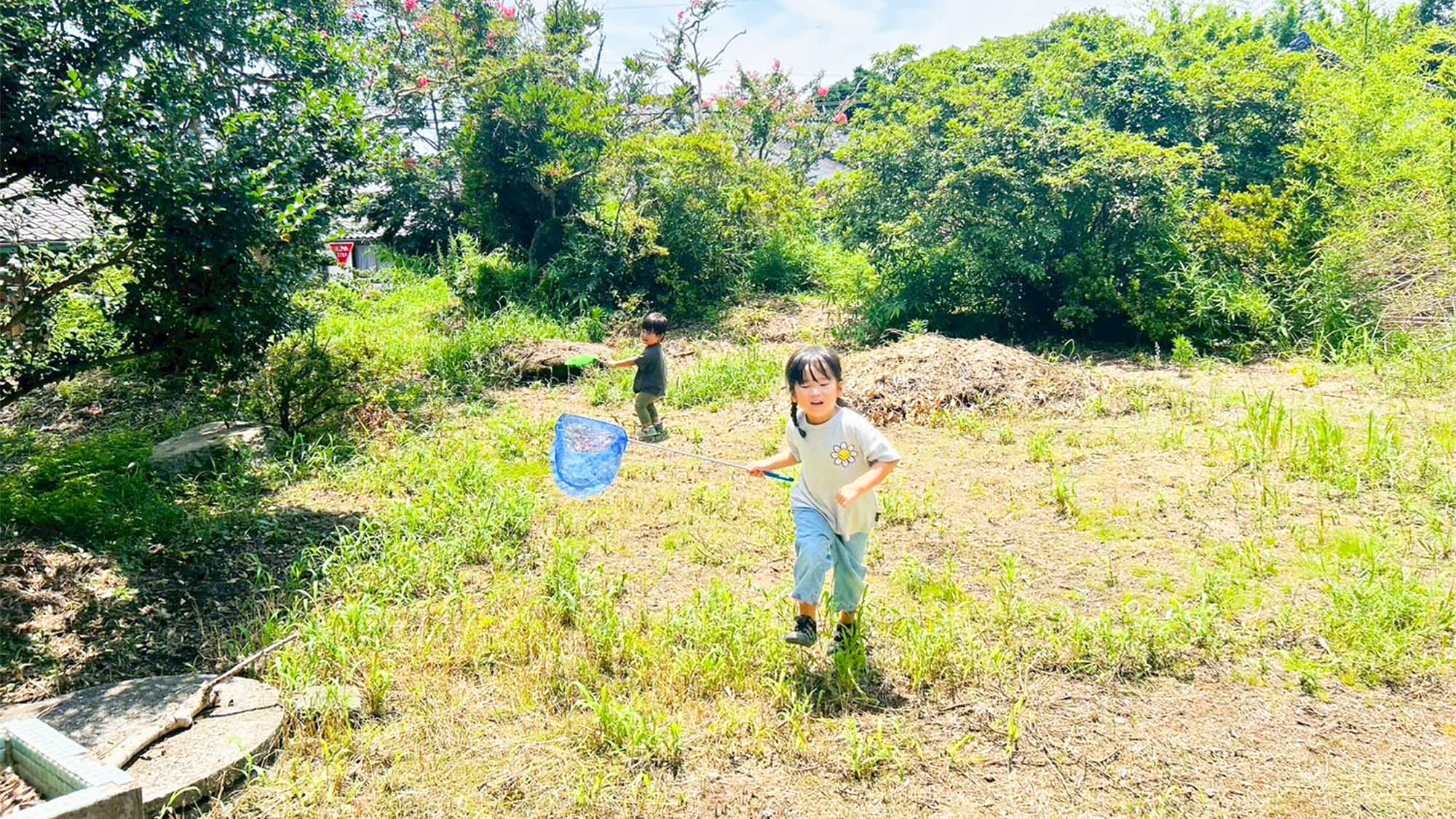 ・都会にはない自然を肌で感じるお庭　季節の花々　生き物を見ることが出来ます