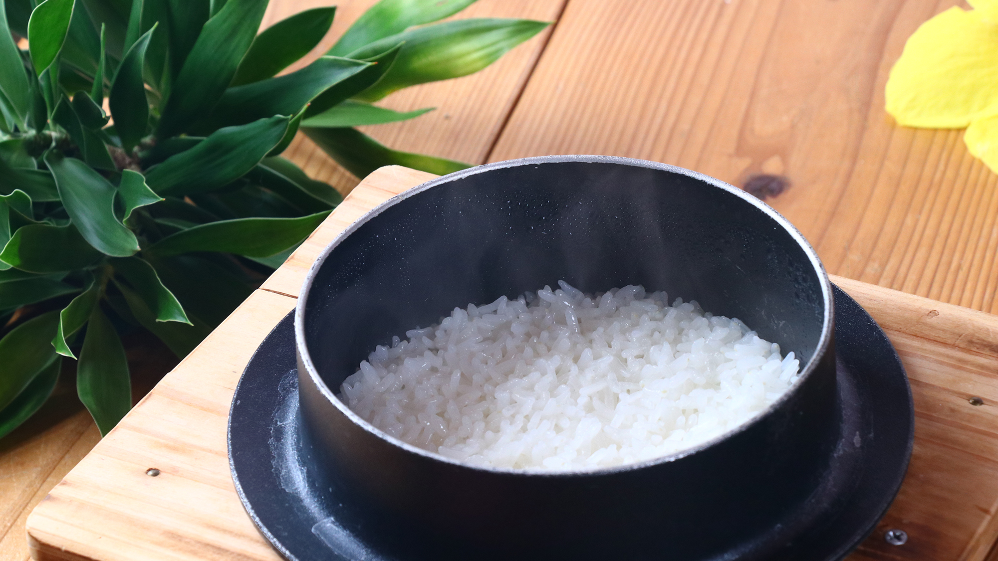 【お料理】 夕食 炊きたてご飯