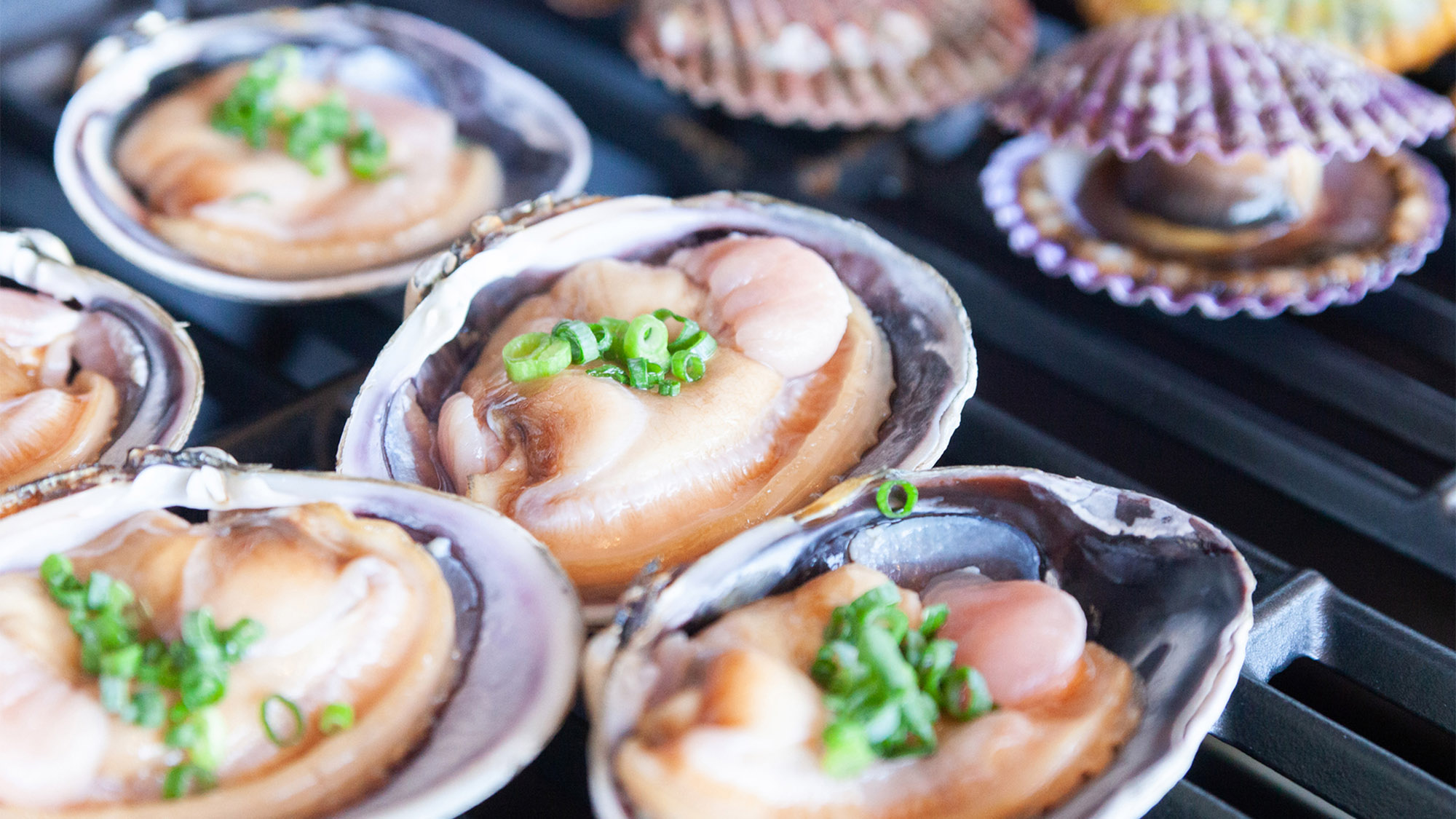・【BBQ・海鮮】海の幸を堪能♪ 磯の香りと旨味たっぷりの食材を心ゆくまでお楽しみください。