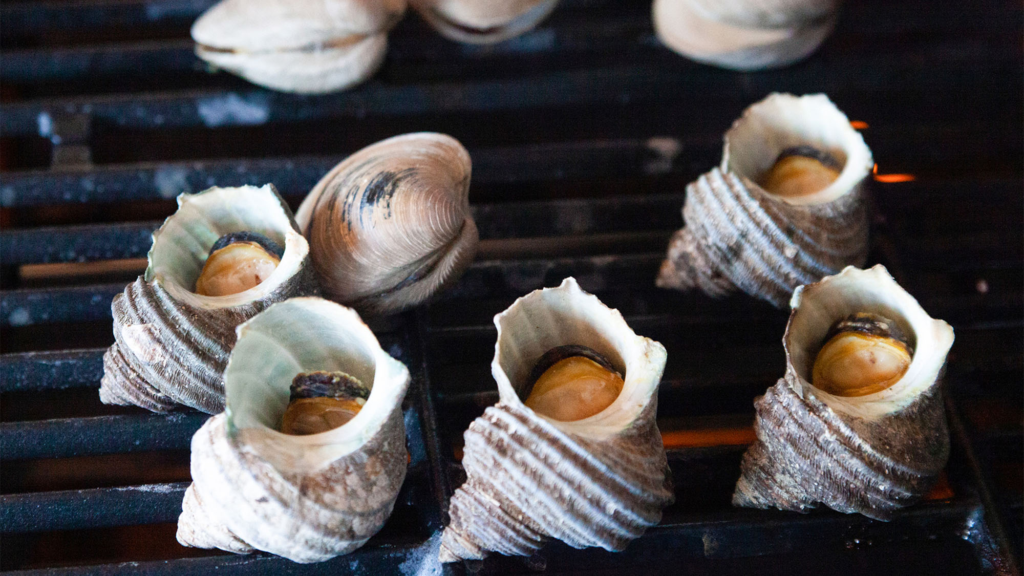 ・【BBQ・海鮮】海鮮コースでは、サザエを楽しむことができます。食欲そそるお食事をお楽しみください。