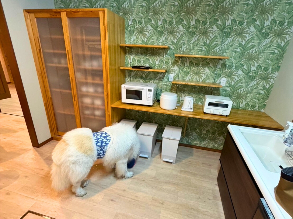 愛犬と泊まれる 家族・グループ旅