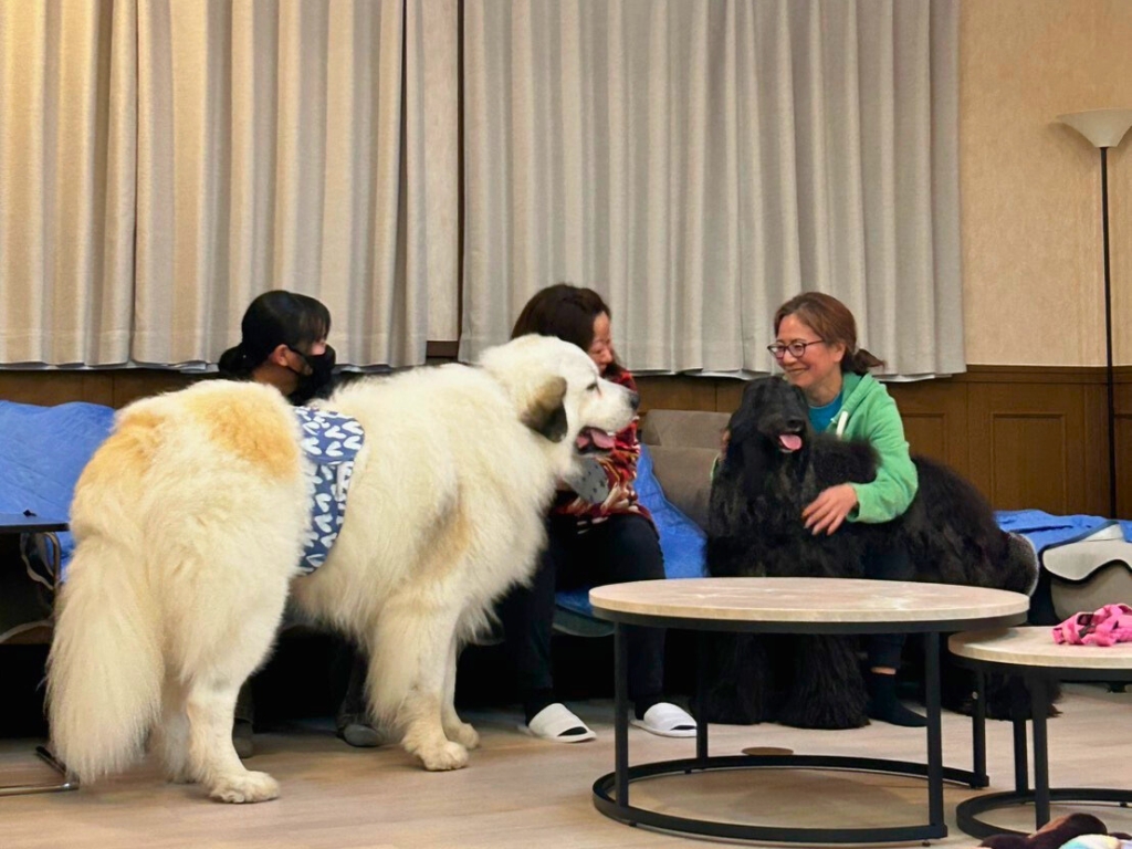 愛犬と泊まれる 家族・グループ旅