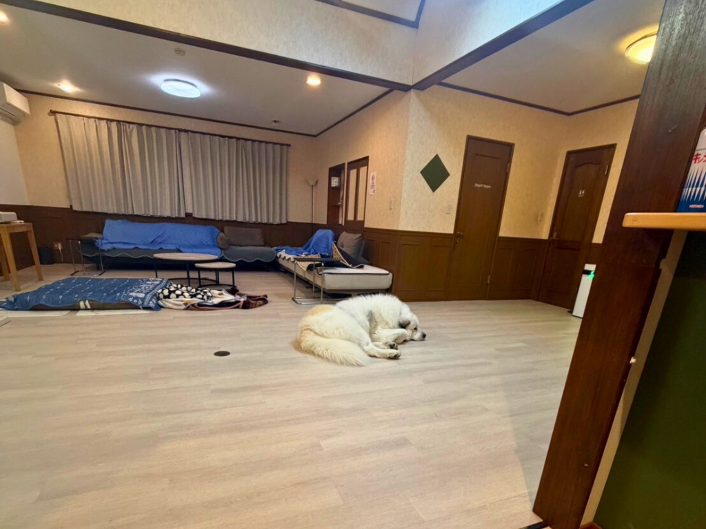 愛犬と泊まれる 家族・グループ旅