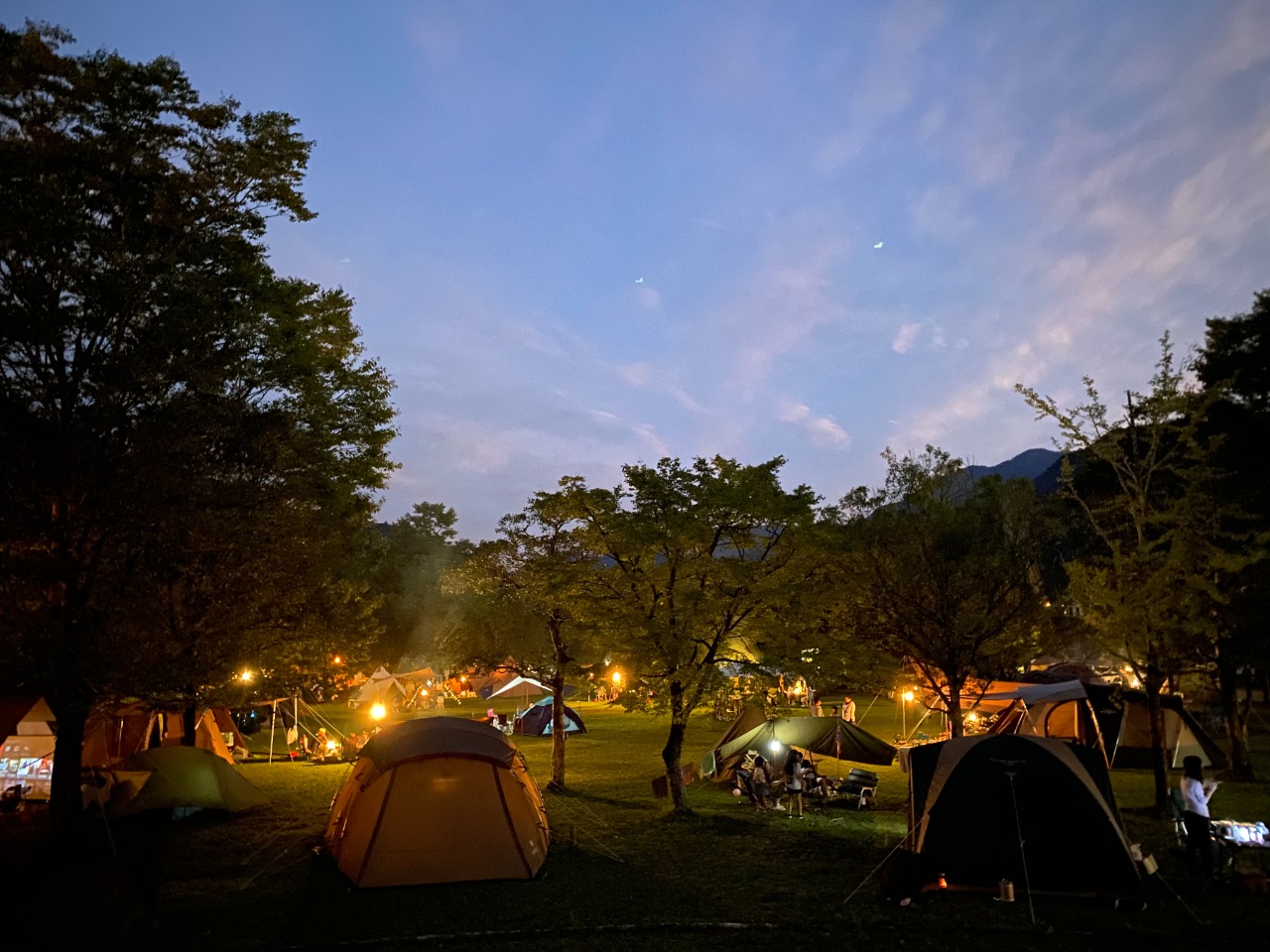 うめキャンプ村　キャンプフリーサイト