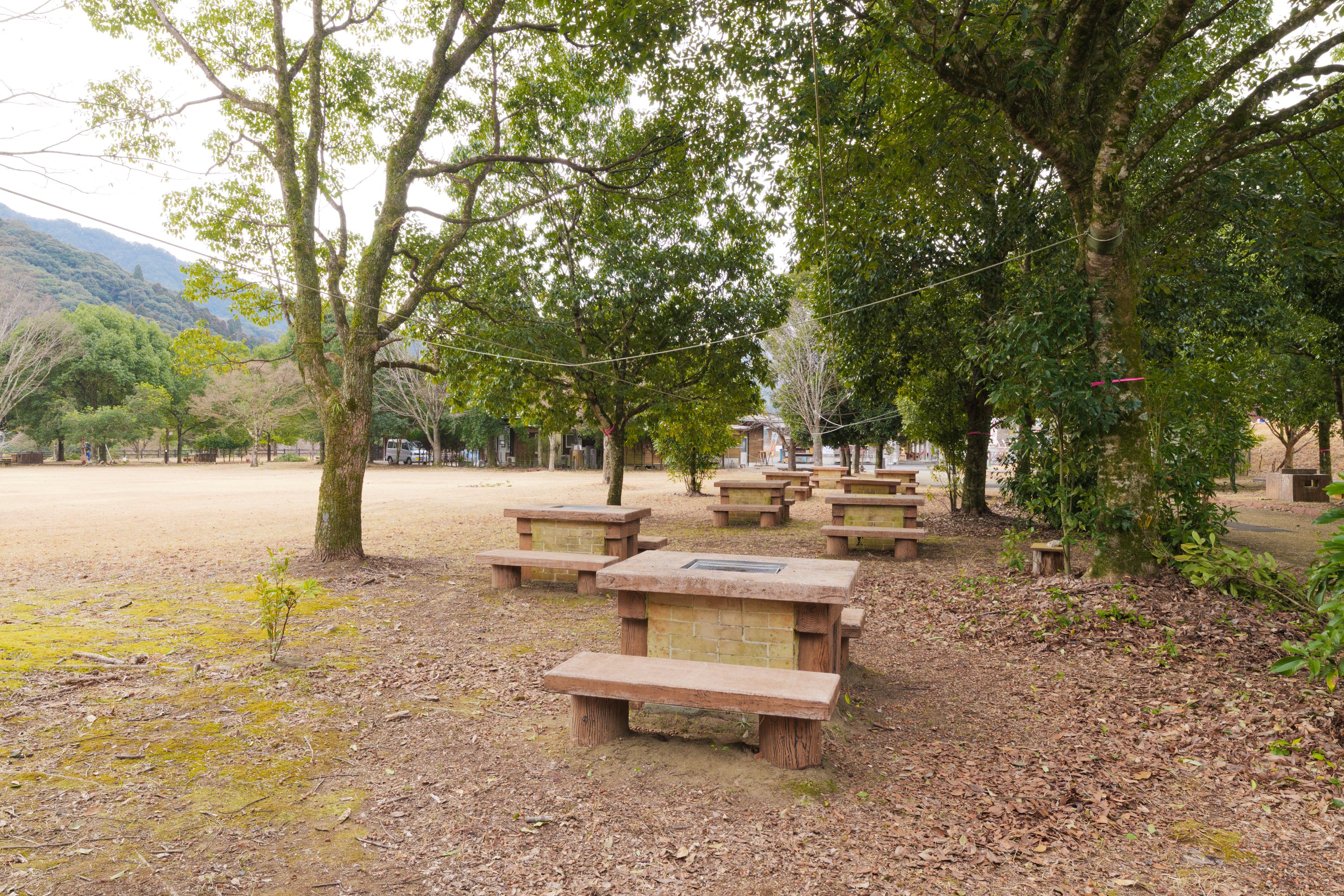 キャンプサイト