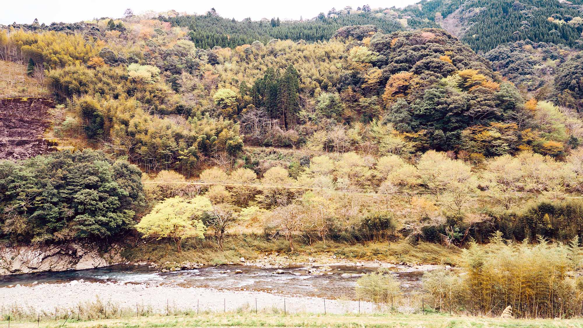 ・【周辺】川の音と山の静寂が調和する癒しの風景