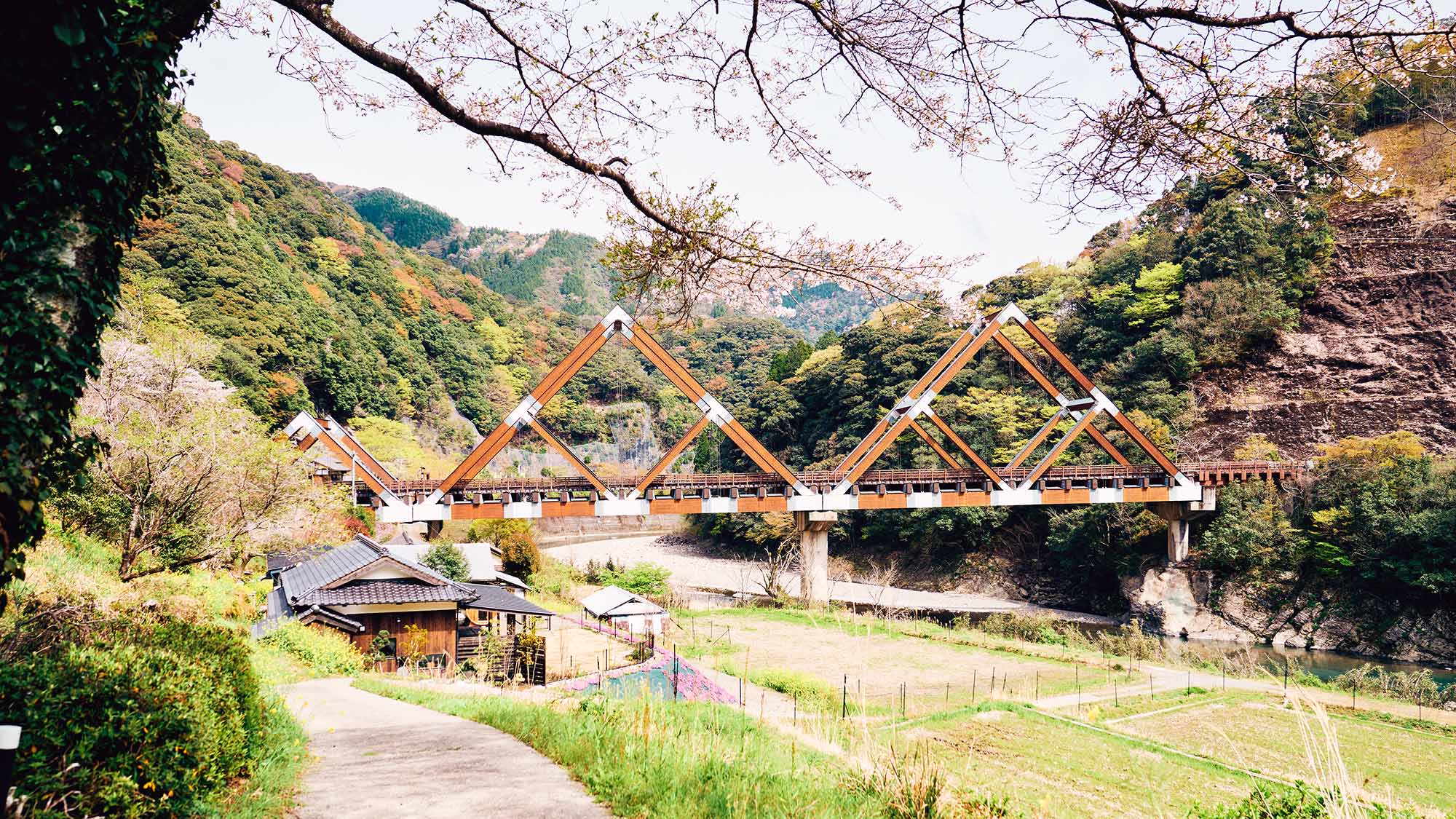 ・【周辺】一ツ瀬川に架かる木造車道橋として国内最大規模(全長140m)の橋と桜を見ながらのんびりと