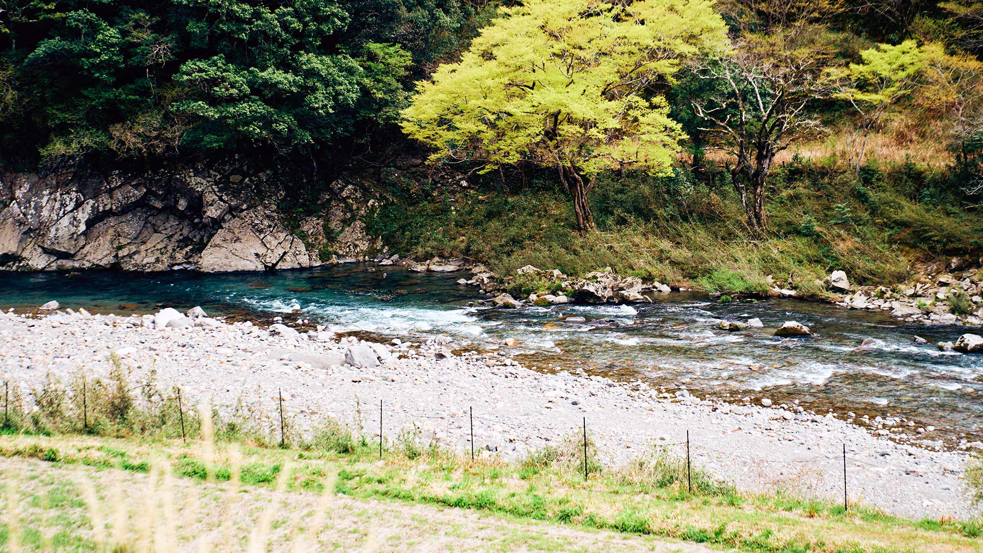 ・【周辺】清流一ッ瀬川と緑豊かな山々に心ほどけるひと時