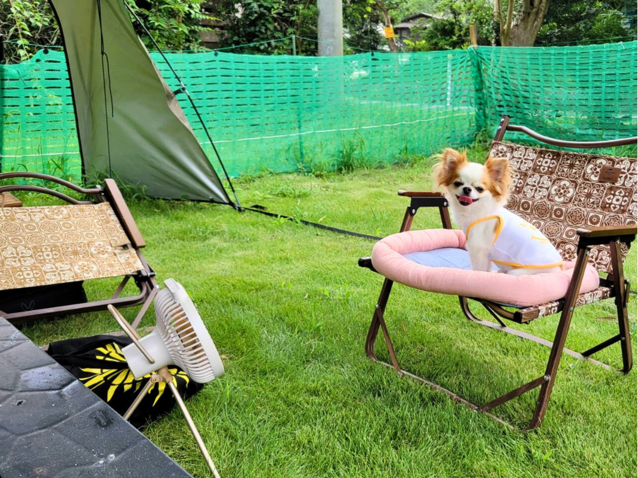 手ぶらBBQ（食材はお客様が用意）貸切素泊まりプラン★ペット可