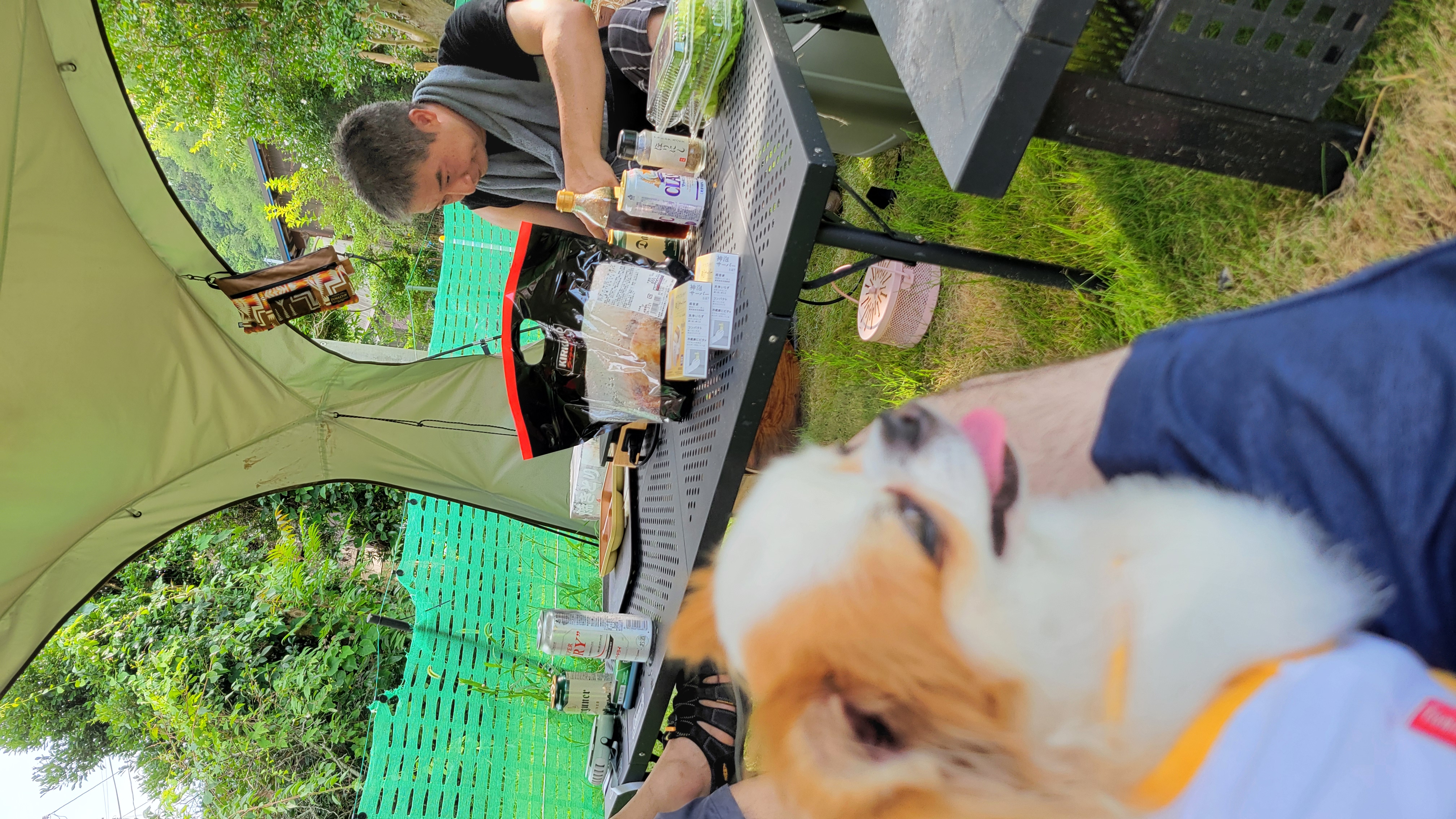 ドッグランエリア