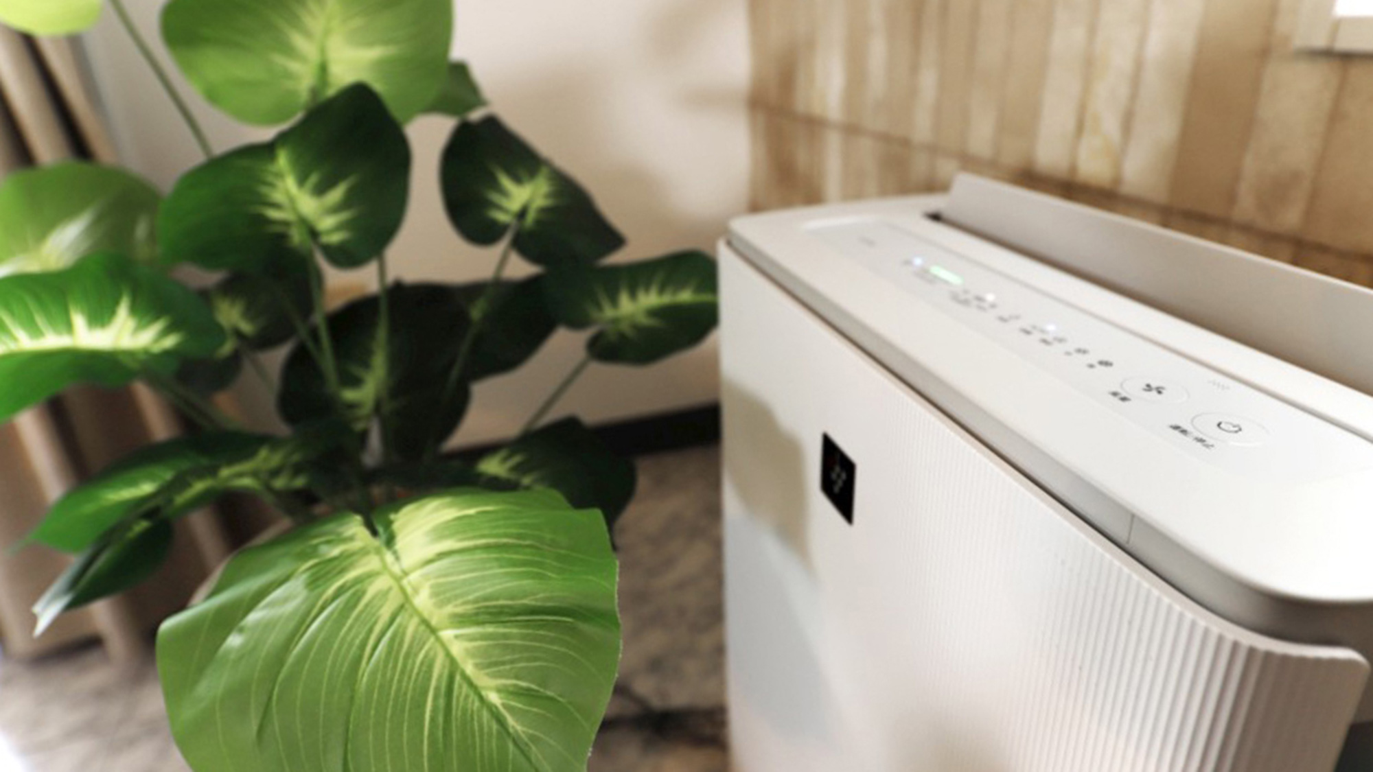 ・【客室設備】空気清浄機