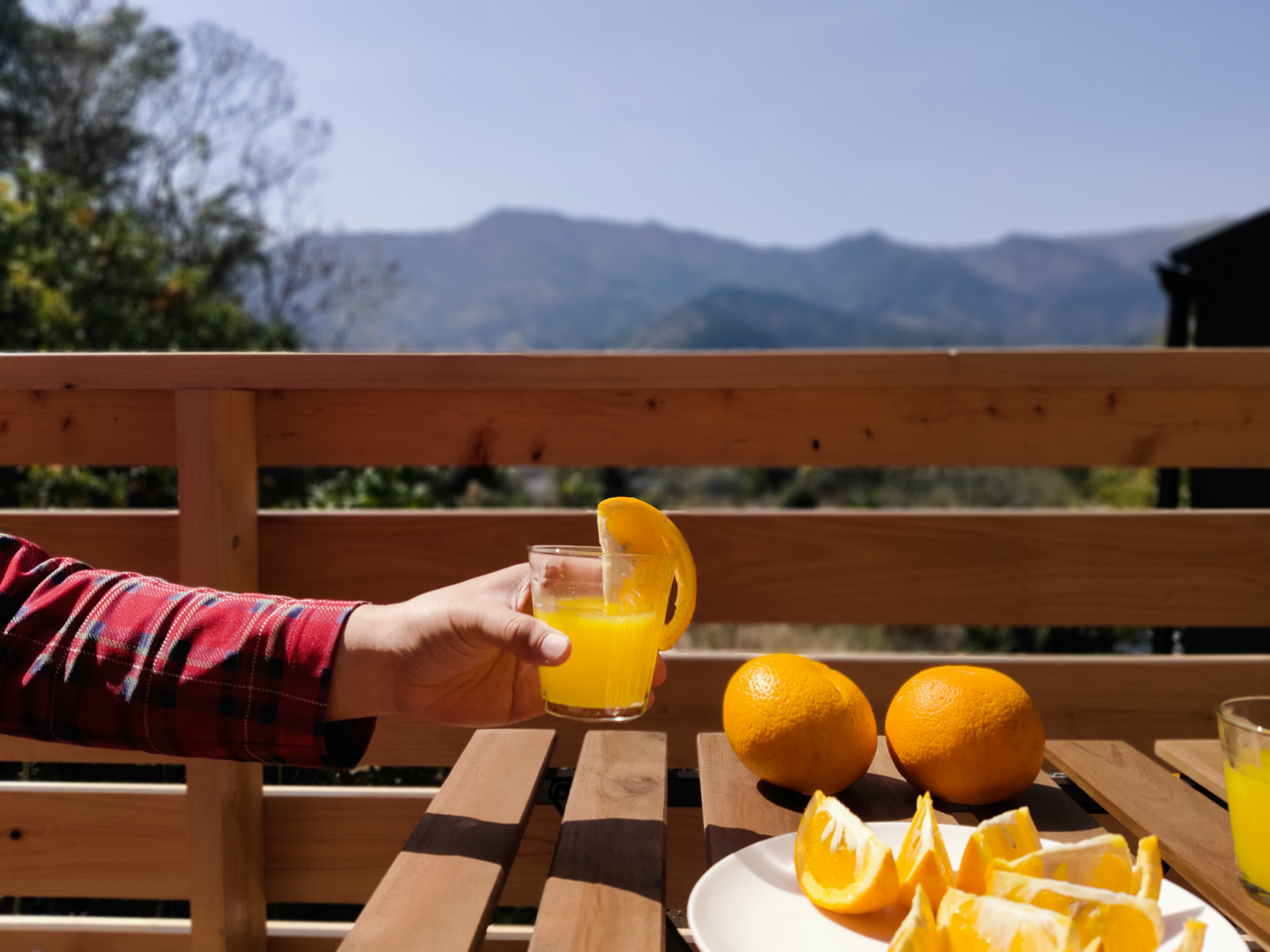 ウッドテラスでのお寛ぎ風景