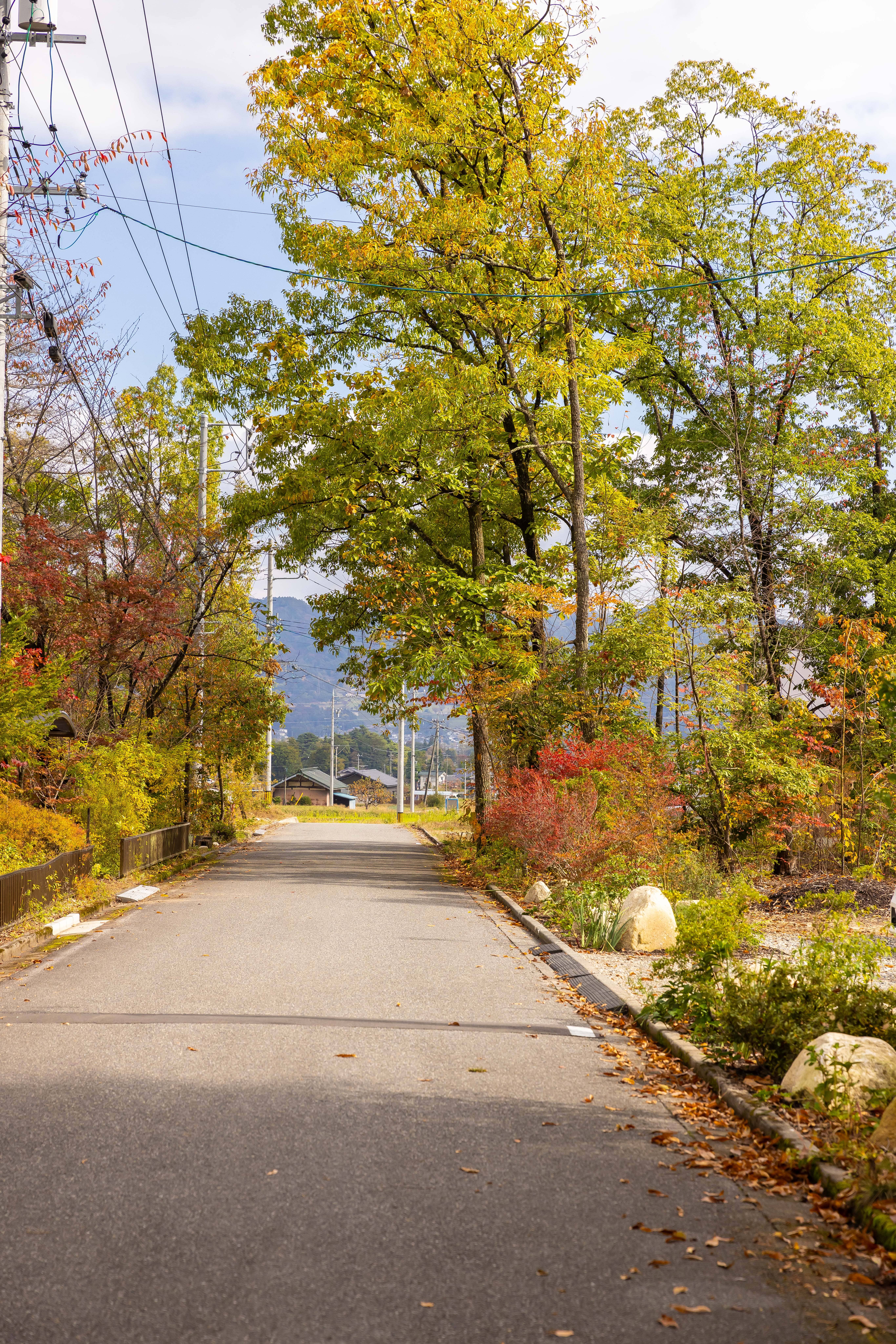 Rinrei terraceは閑静な住宅街に隣接しています。21時以降はお静かにお過ごしください。