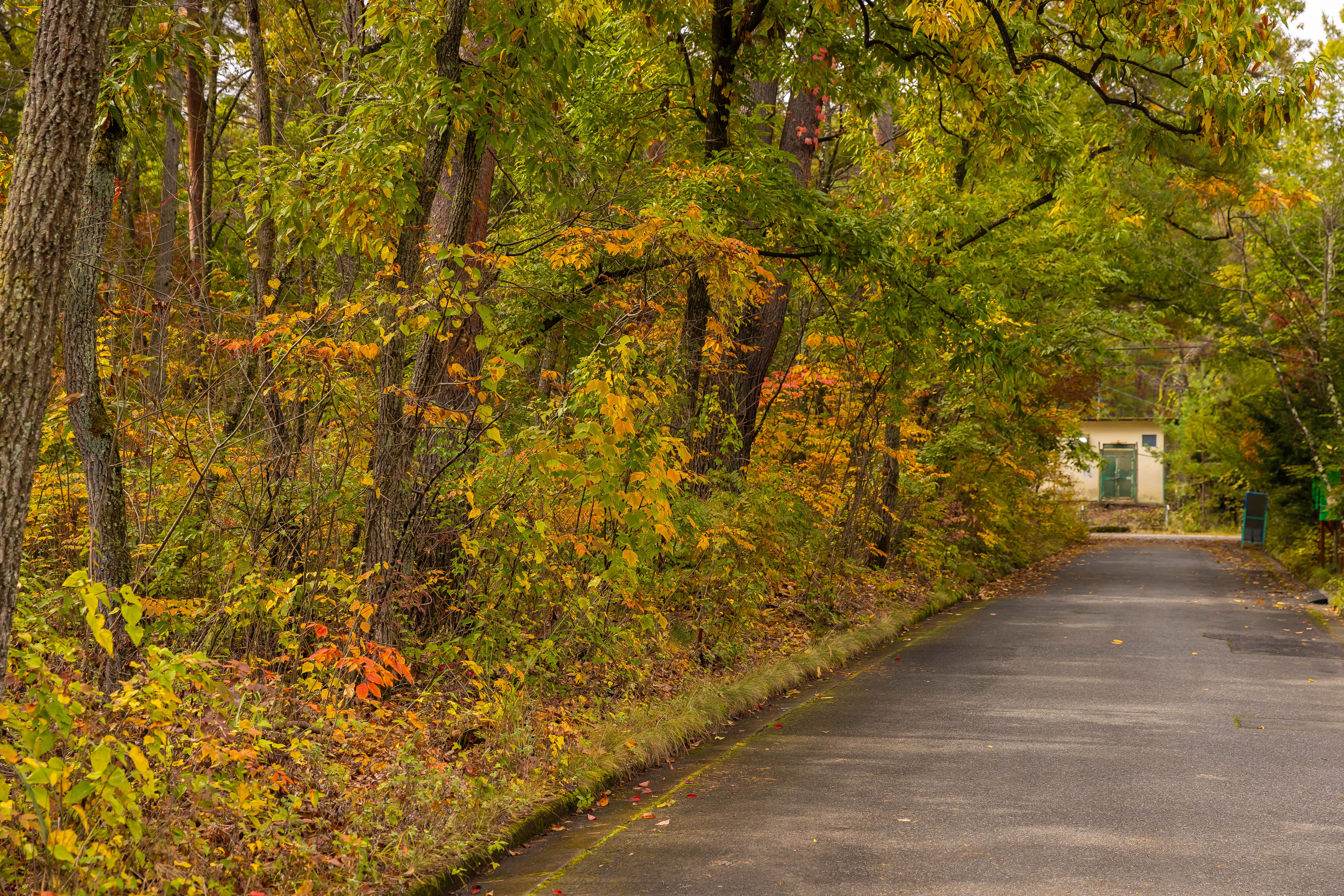 施設前の道路Rinrei terraceは閑静な住宅街に隣接しています。21時以降はお静かにお過ごし