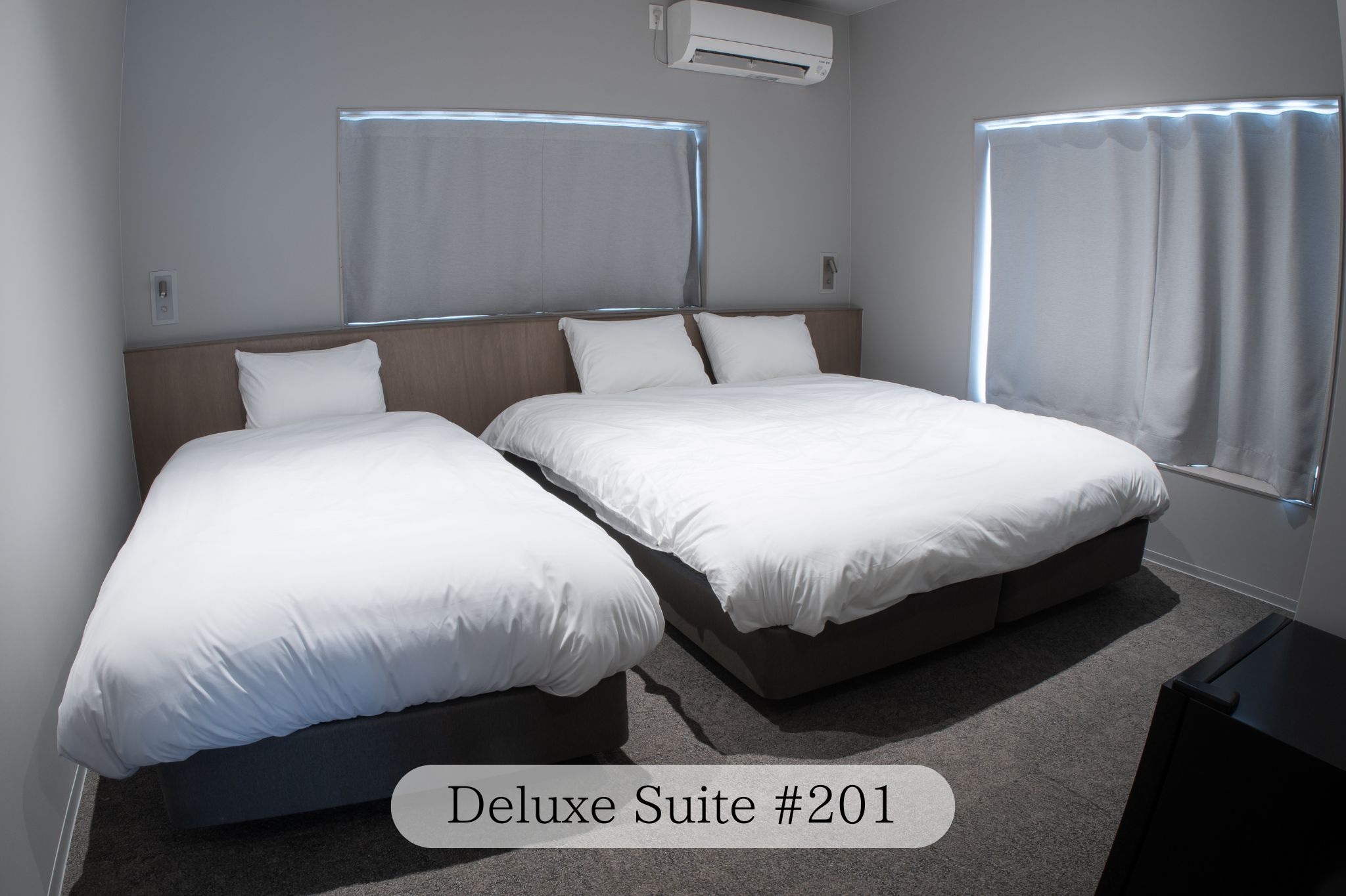 Deluxe Suite 201号室