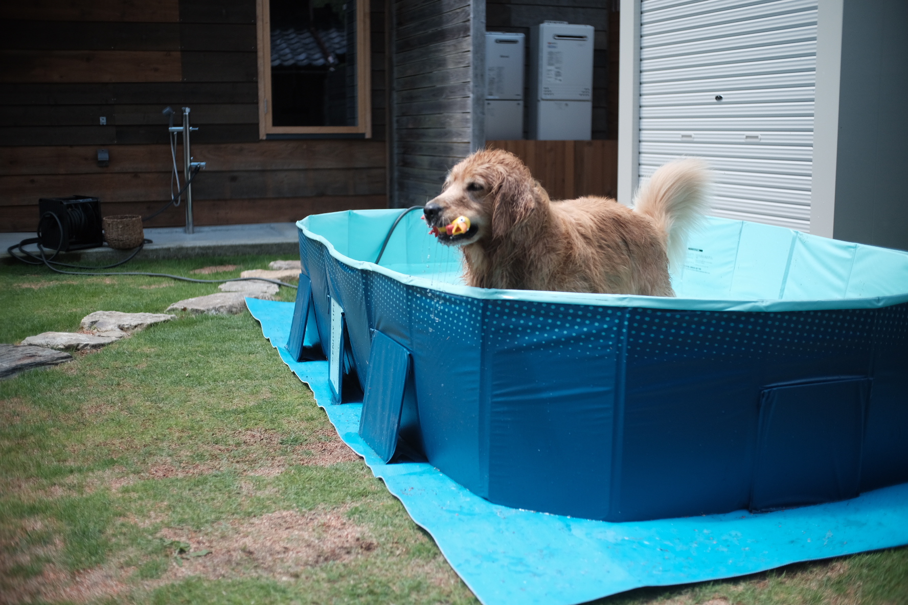 ビニールプール貸出（夏季限定6月〜9月末頃まで）