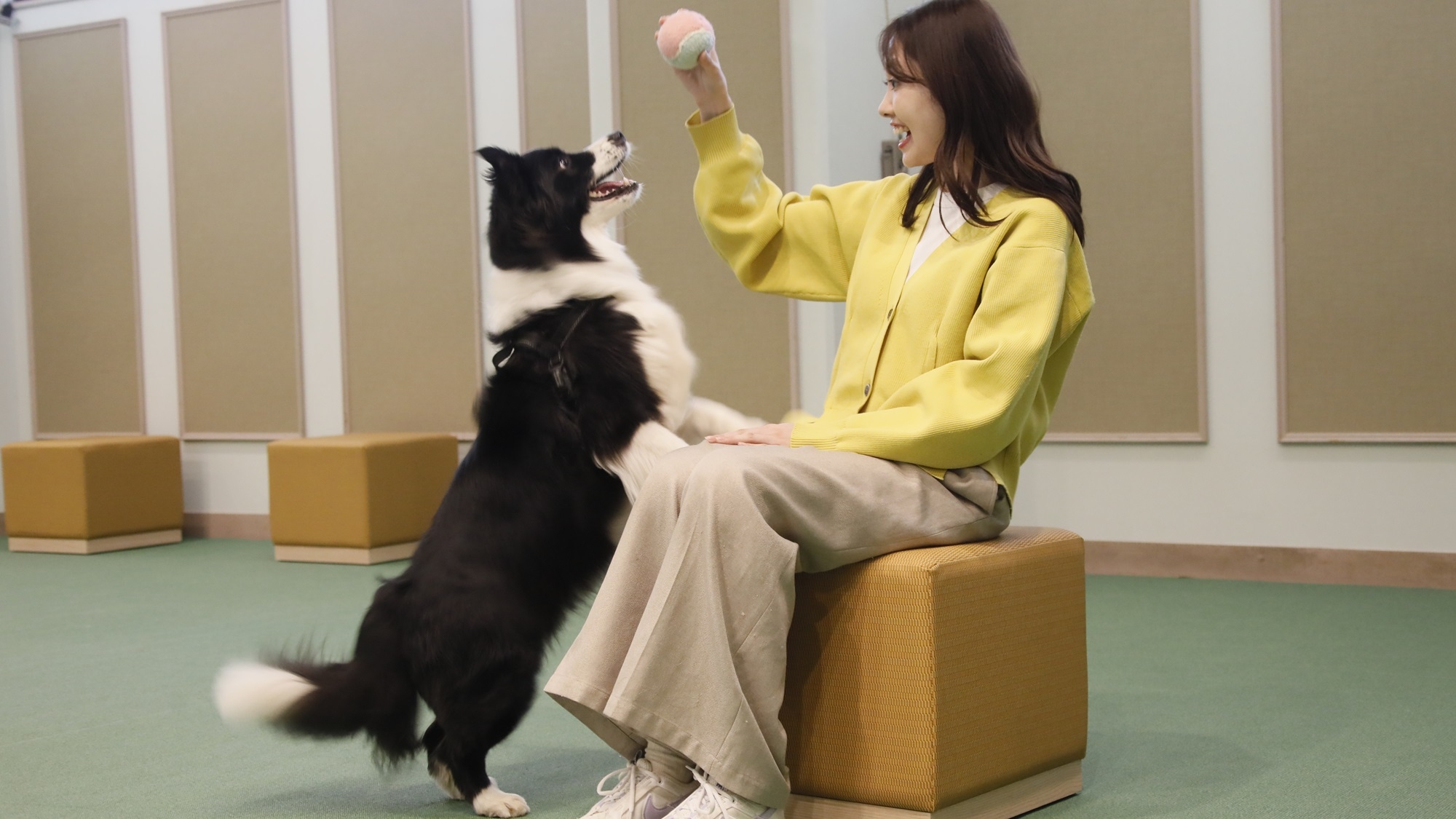 【夏SALE】≪最大20％OFF≫日本庭園風ドッグランやお部屋で愛犬とゆったり旅＜☆基本鍋御膳＞