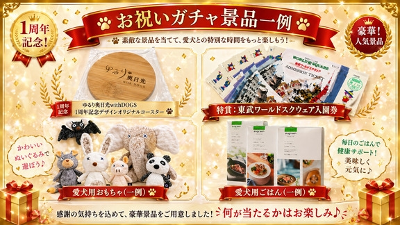 【開業1周年記念】くるっと回してプレゼント！愛犬お祝いガチャなど4大特典付き！＜□特選鍋御膳＞