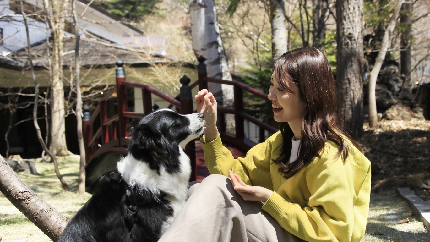 【10％OFF】【楽天スーパーSALE】期間限定で愛犬利用料無料！＜■牛しゃぶ鍋＆ハーフビュッフェ＞