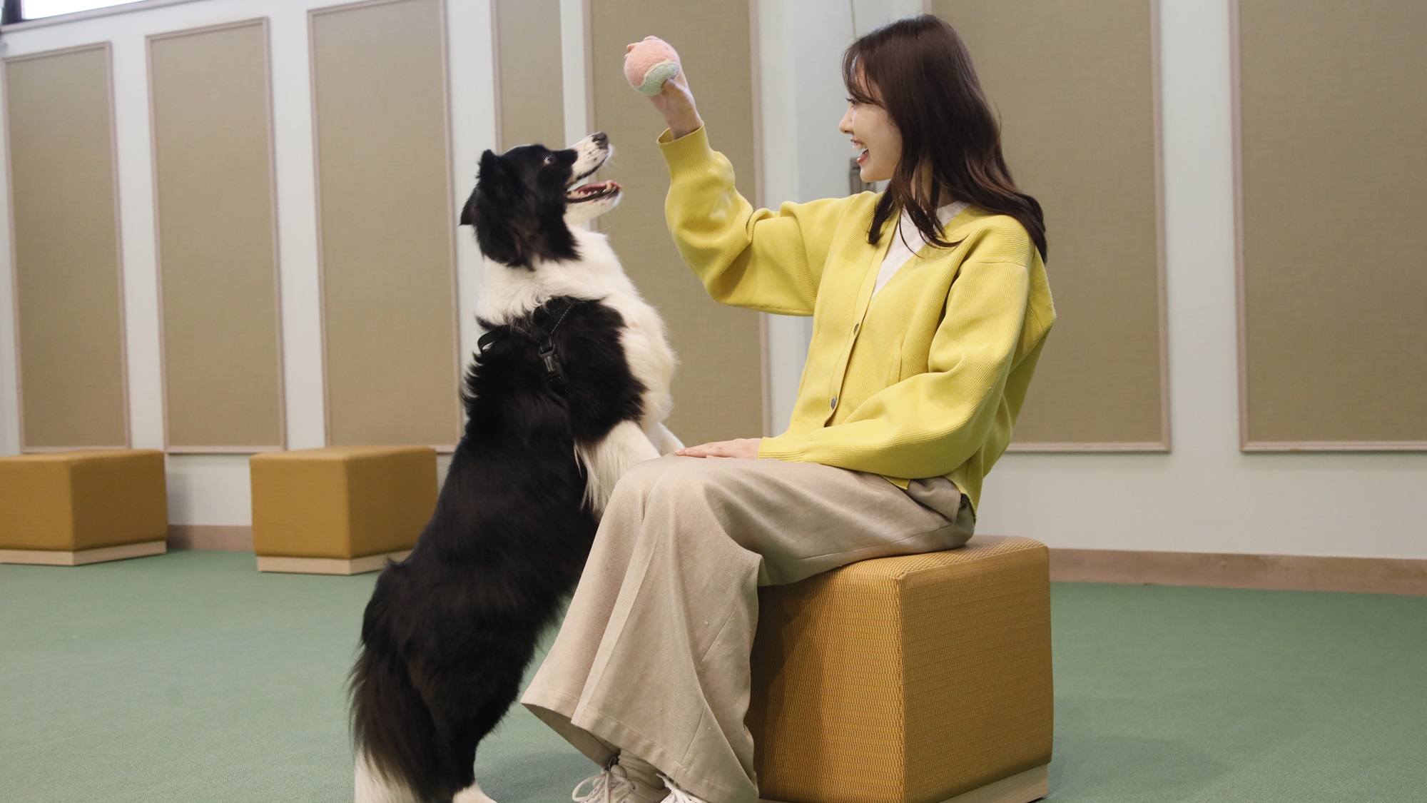 【屋内ドッグラン】ワンちゃんと思いっきり遊んでぜひ旅の思い出作りを♪(一例)