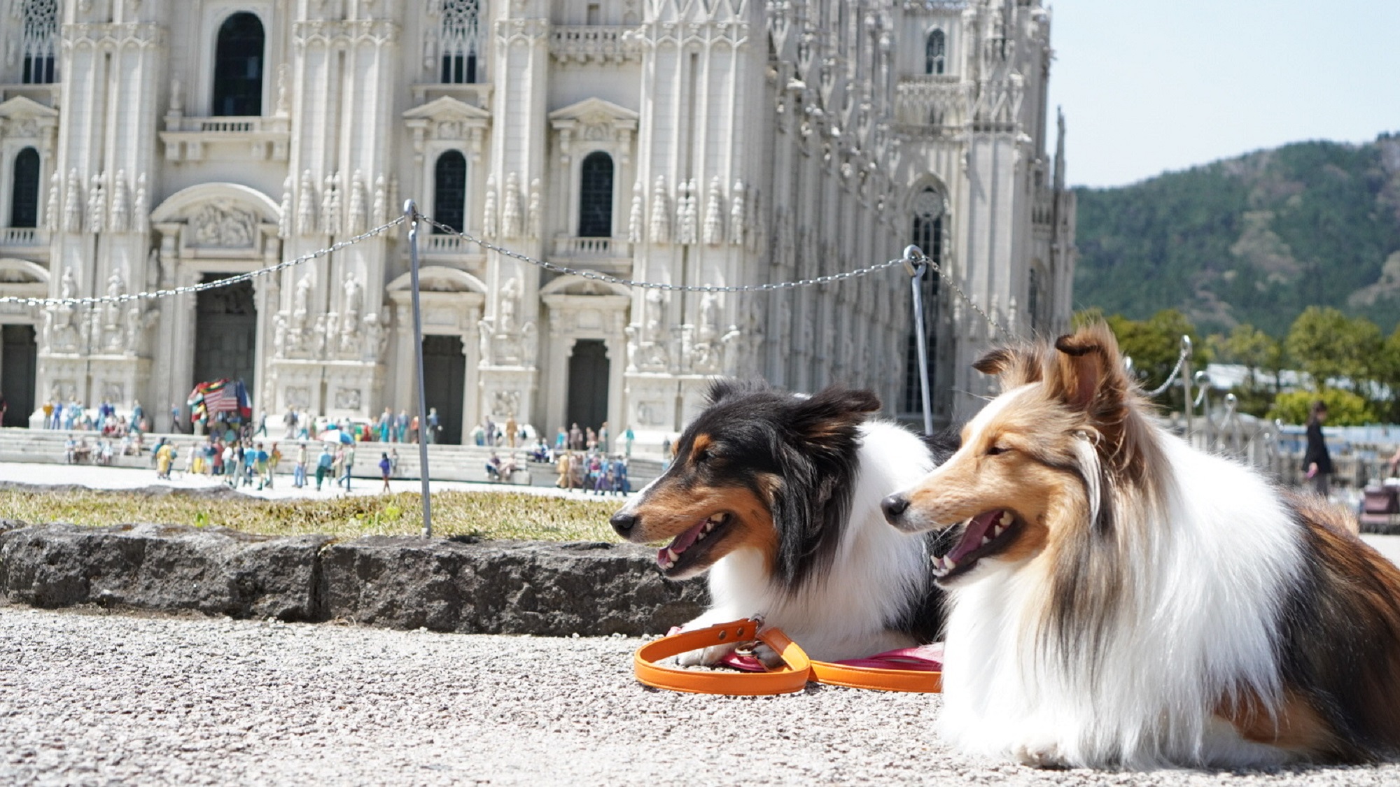 【東武ワールドスクウェア】ワンちゃんもリードを付けて散策OK！バギーの貸し出しもございます（一例）
