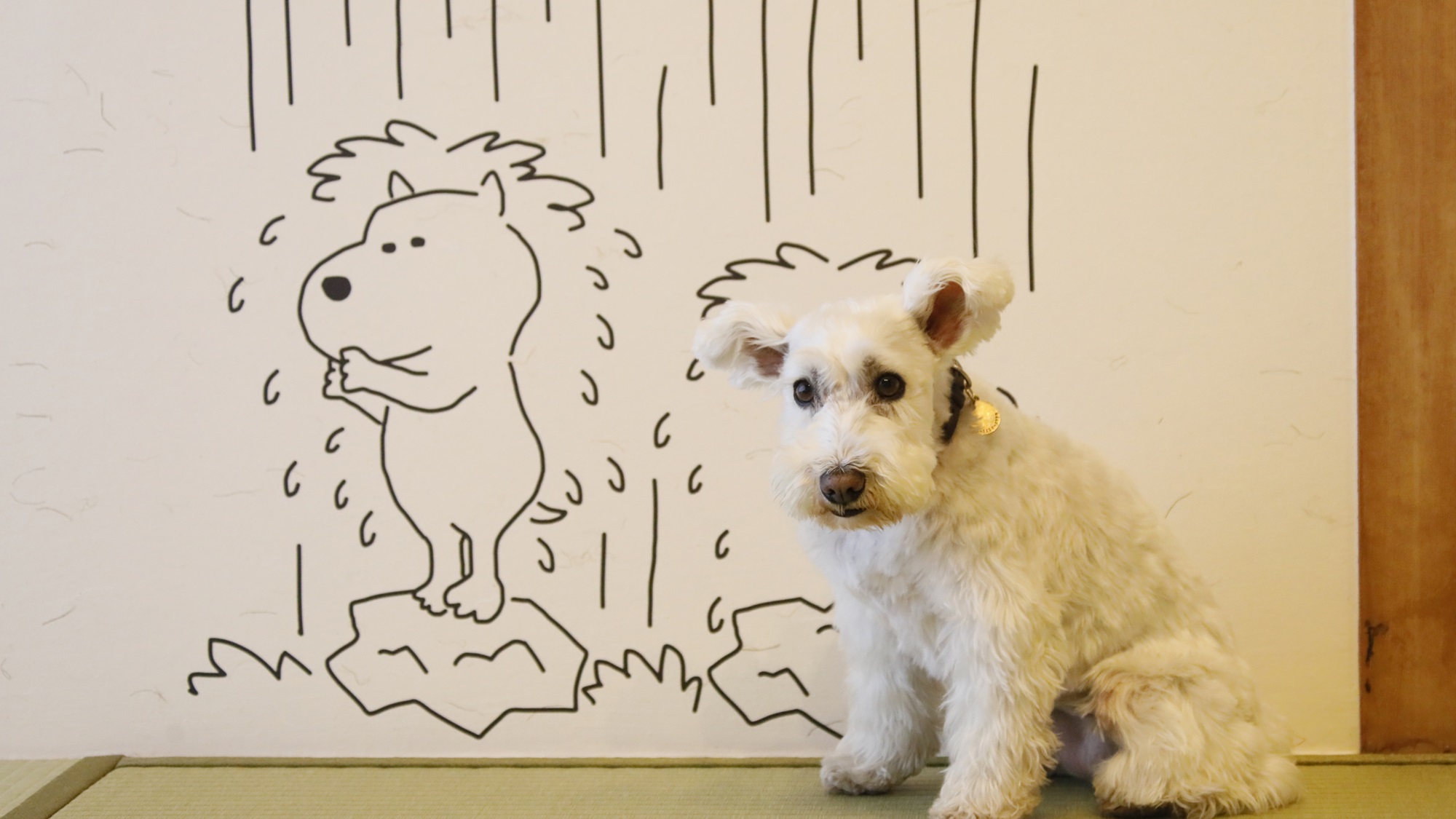 【フォトスタジオ】日光らしい当館限定デザイン多数！（一例）