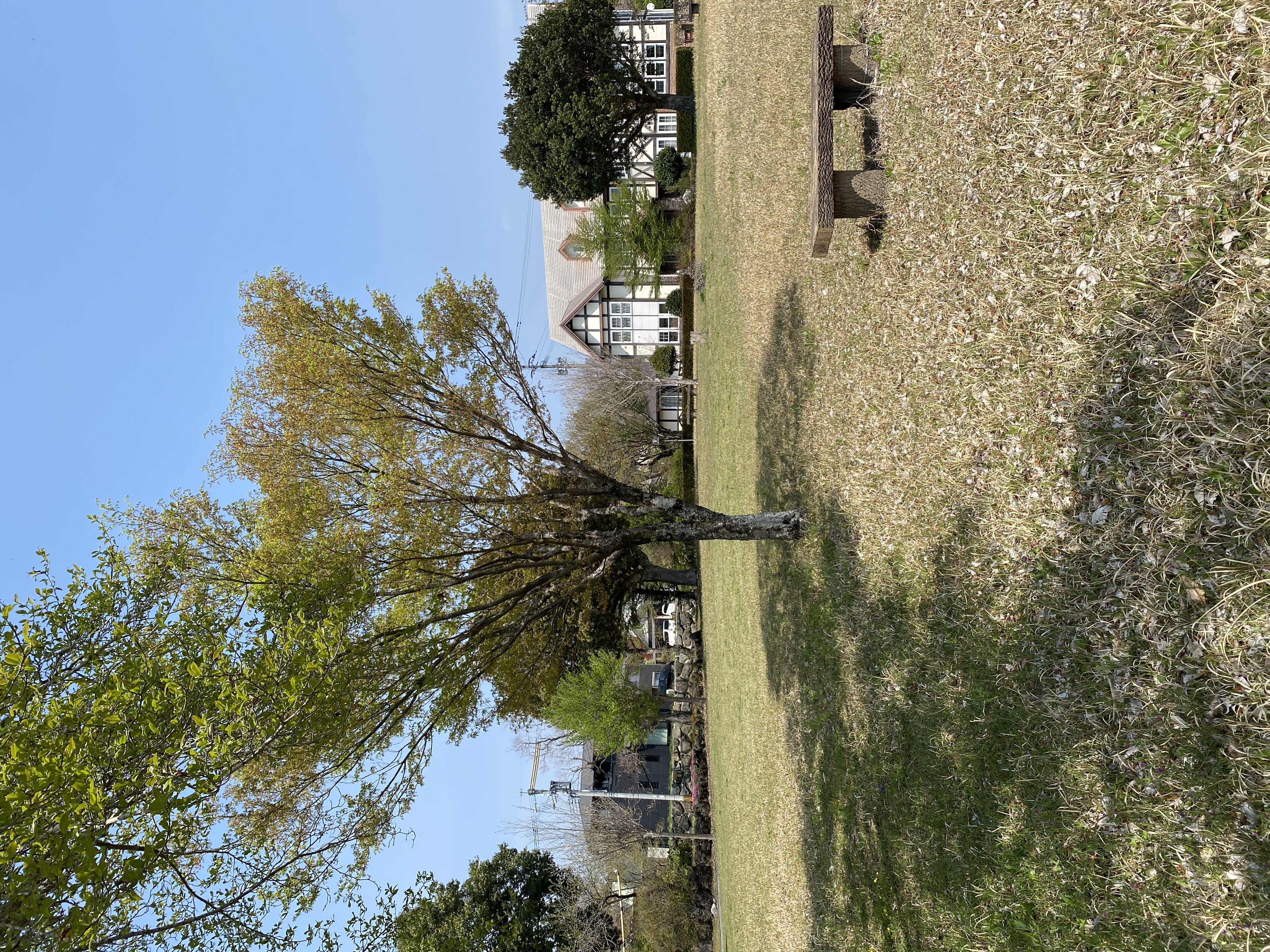のんびり村内の公園で昼は日光浴、夜は星空観賞もおススメですよ♪