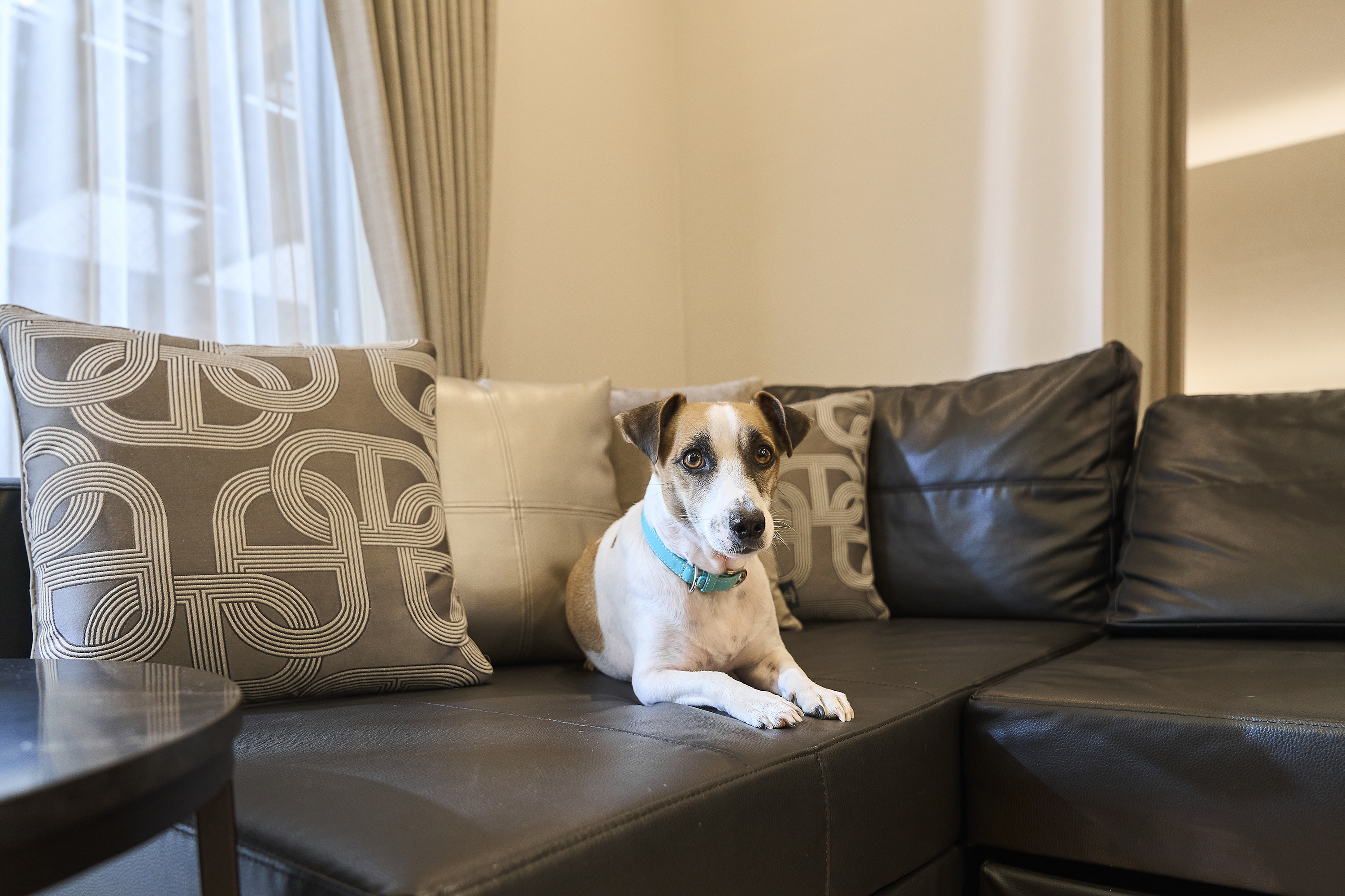 愛犬と旅する幸せ♡