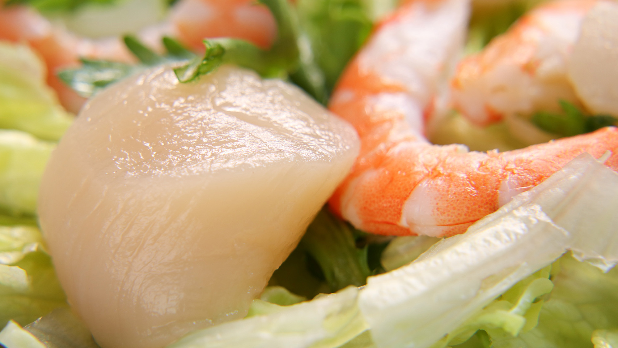 ＃夕食イメージ　ホタテと海老のサラダ