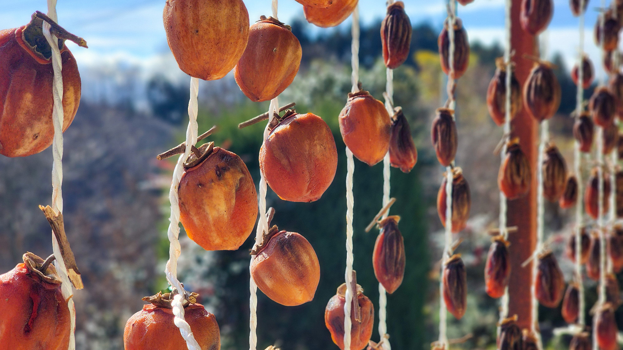 ＃イメージ　秋の味覚干し柿