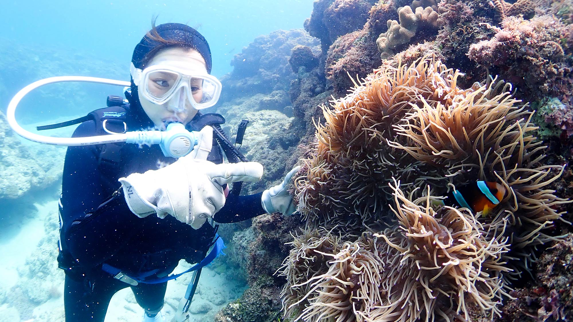 ・【ダイビング体験/有料】澄んだ海の中、様々な海の生き物を見つけることはダイビングの醍醐味です