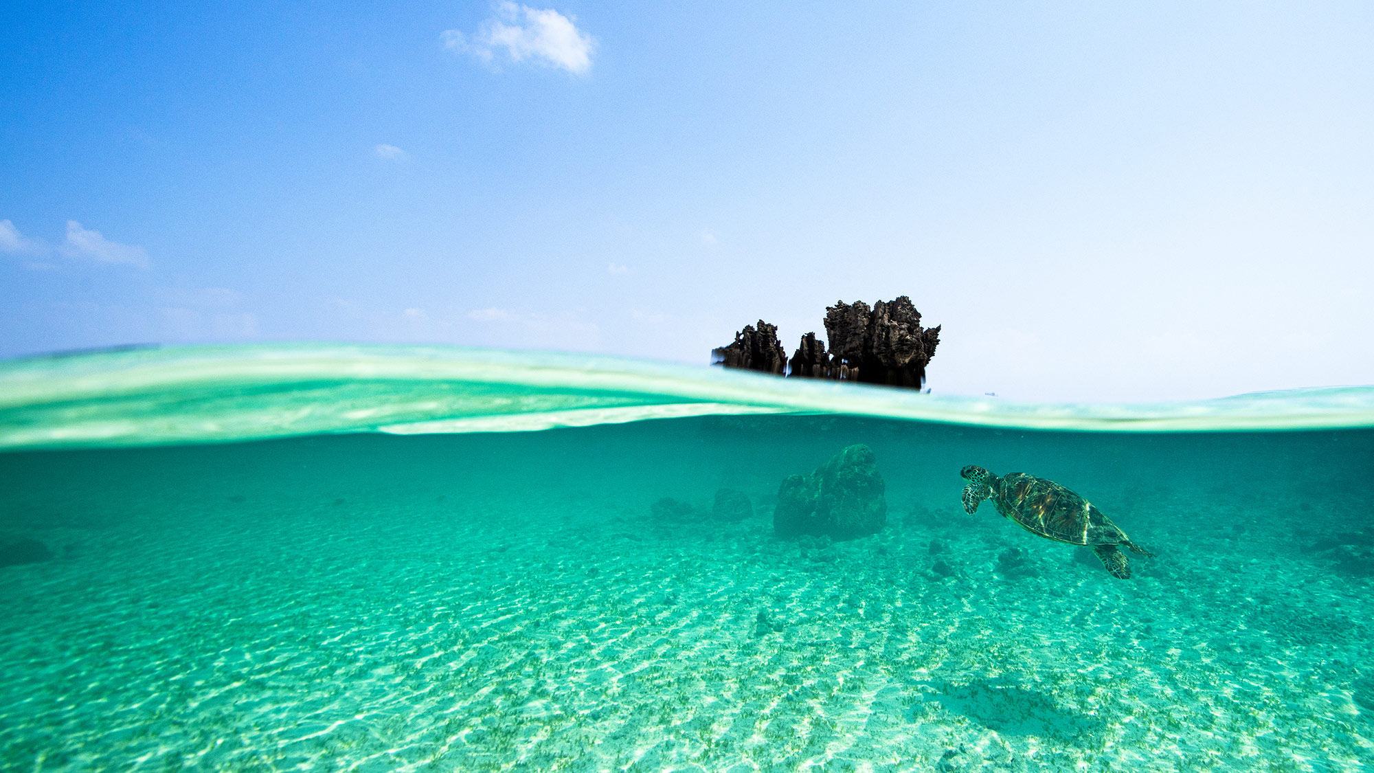 ・【ダイビング体験/有料】装備はレンタルのため、お気軽にダイビング体験をお楽しみください