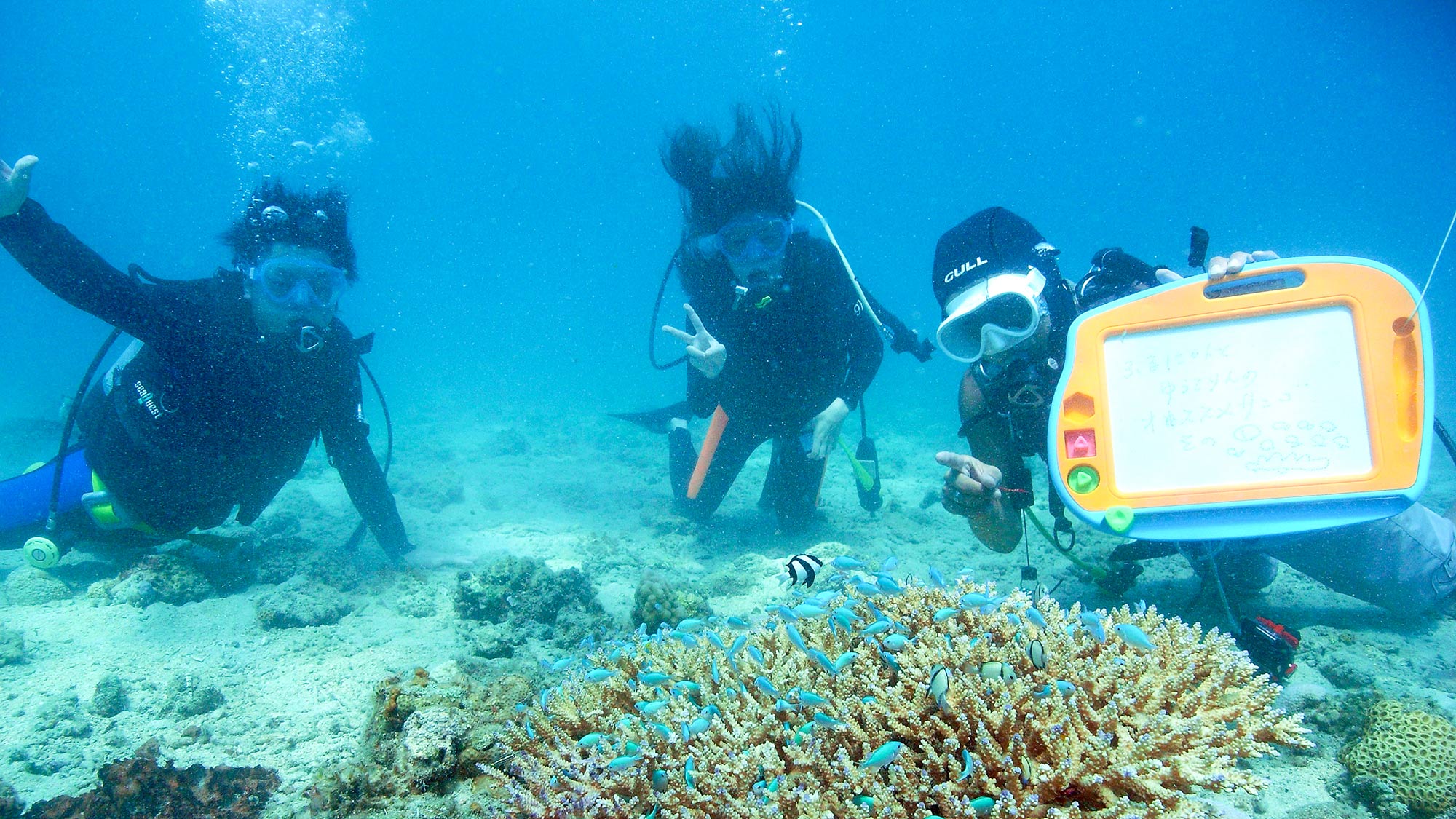 ・【ダイビング体験/有料】仲間と一緒にダイビングを満喫しながら、楽しい思い出を共有する時間は最高です