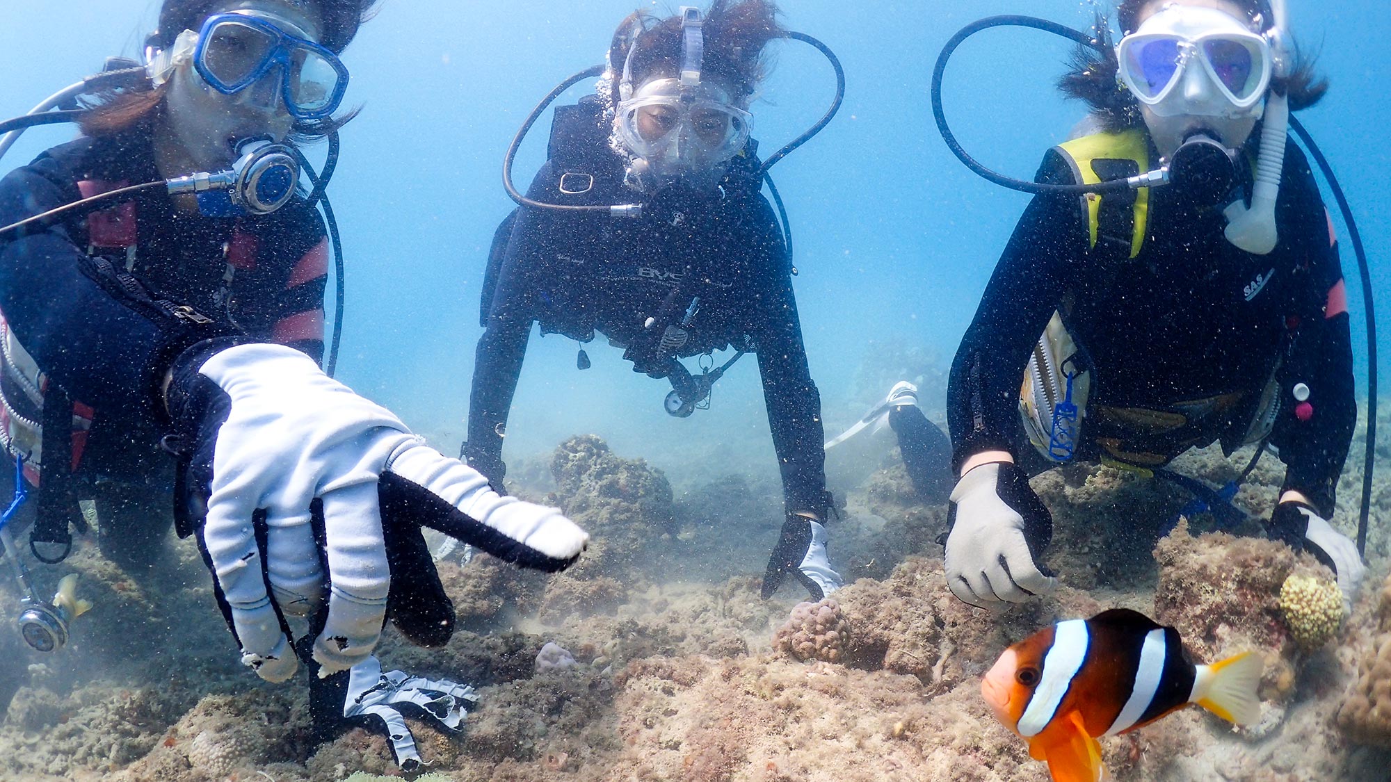 ・【ダイビング体験/有料】サンゴ礁を間近に感じながらカラフルな熱帯魚を見つけるもの楽しみのひとつ