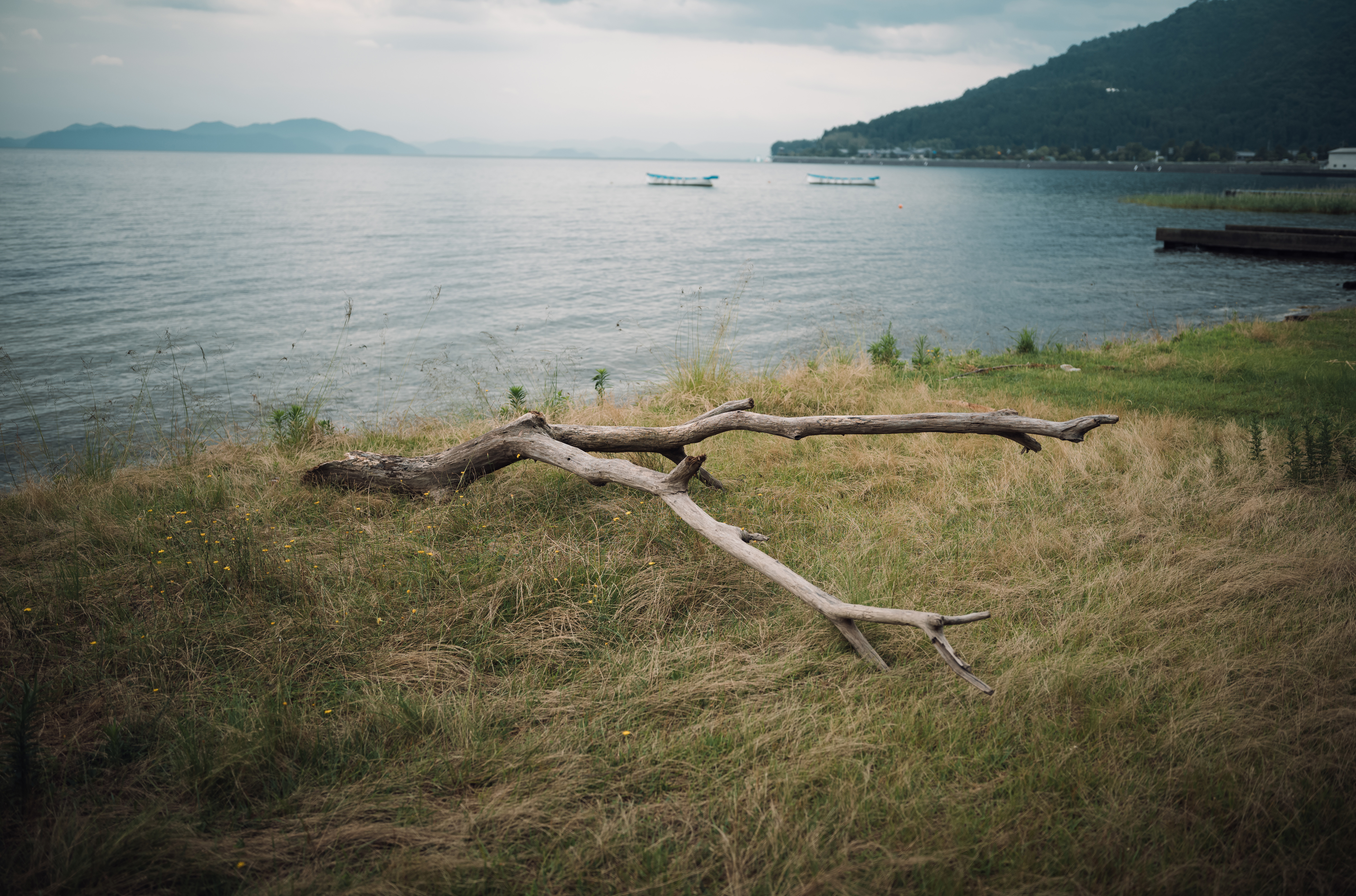 宿近くの景色❷