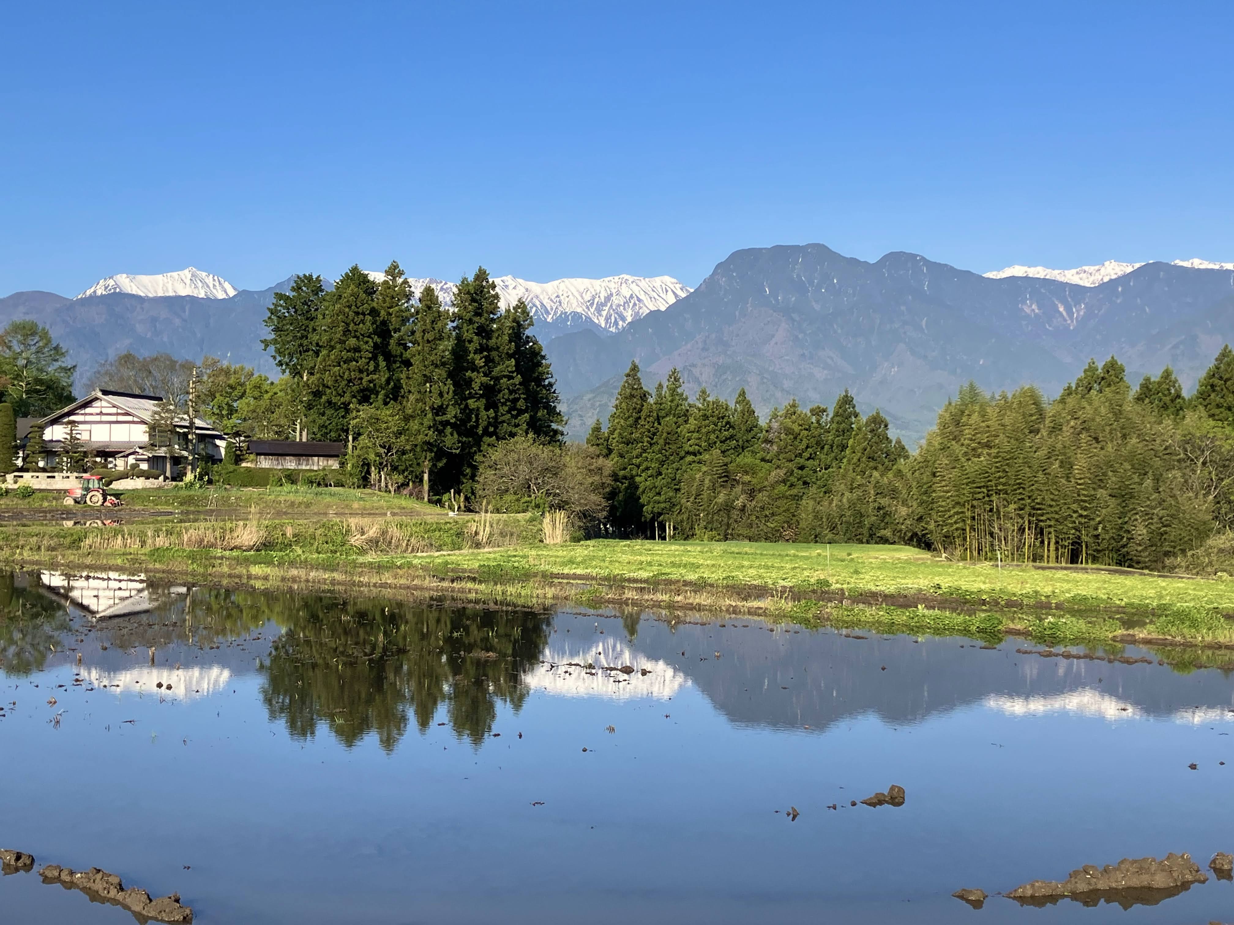 水鏡に映える北アルプス（５月頃）