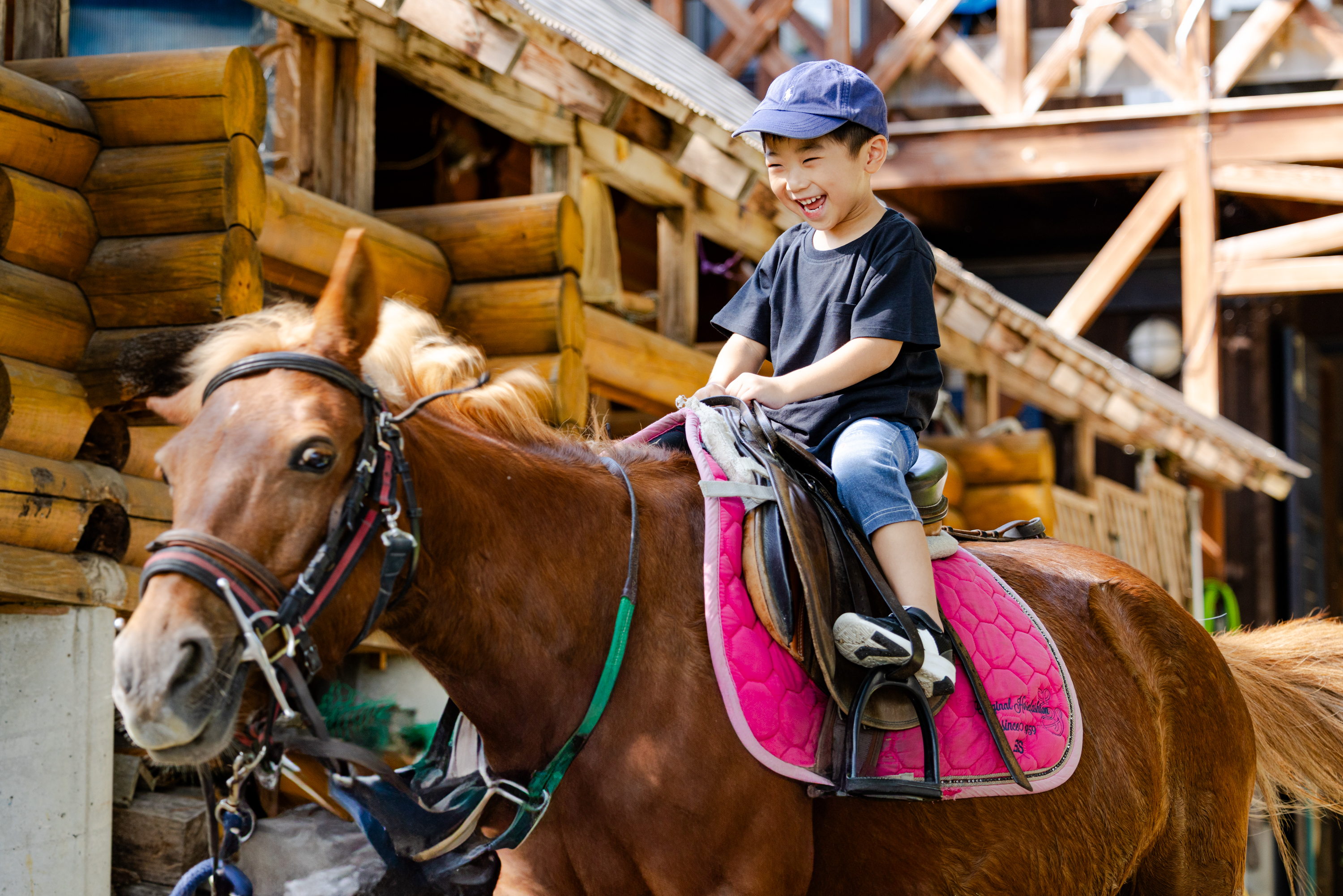 ホーストレッキング