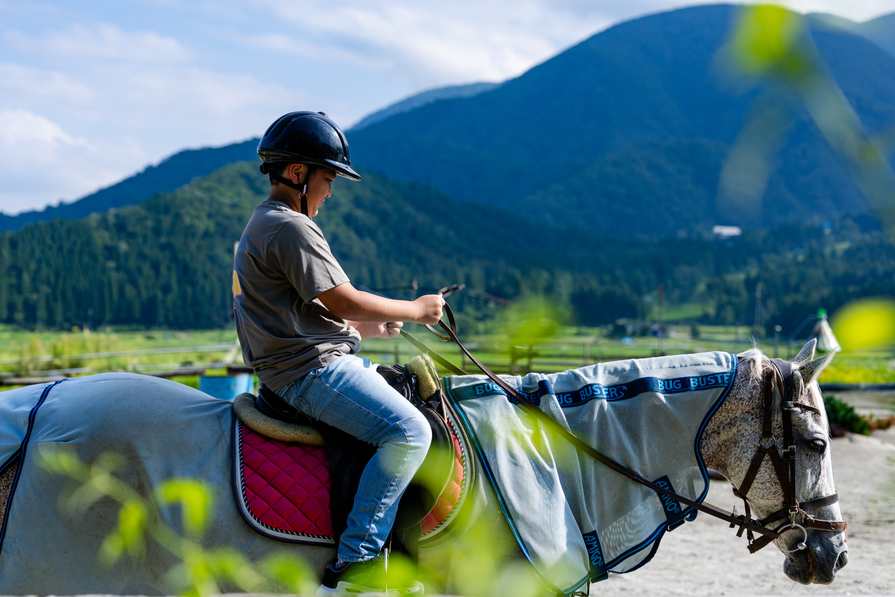 ホーストレッキング