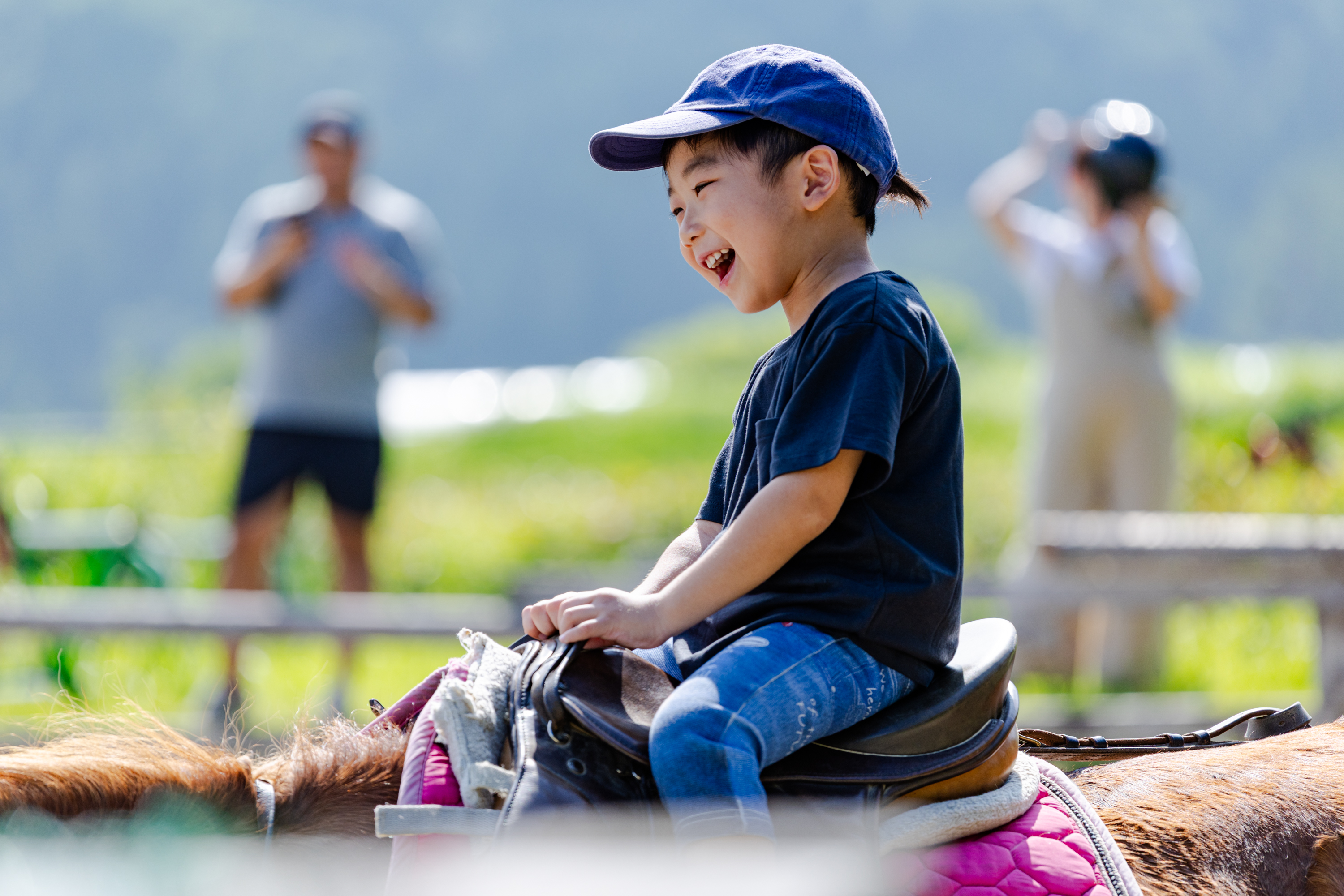 ホーストレッキング