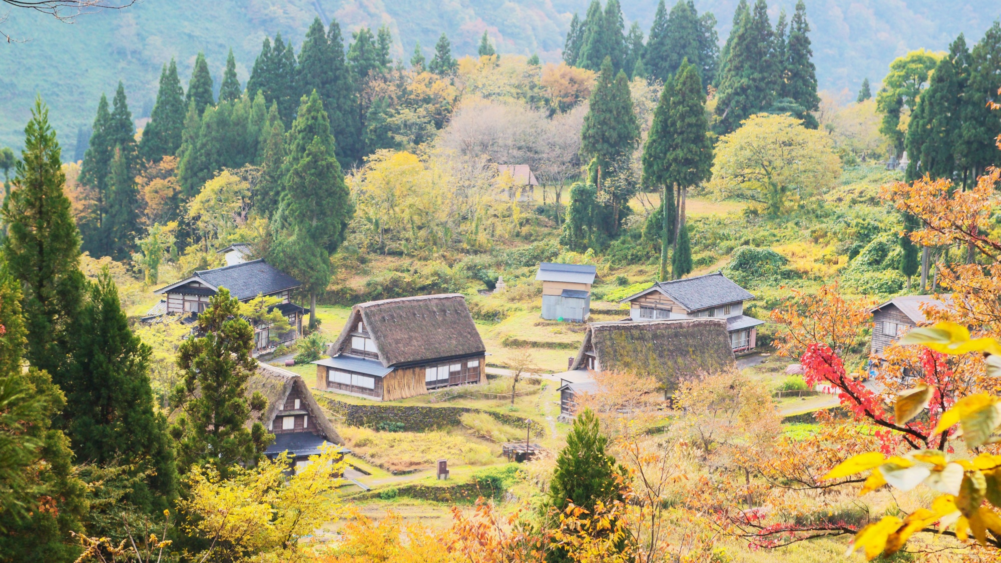 【周辺観光】紅葉の五箇山