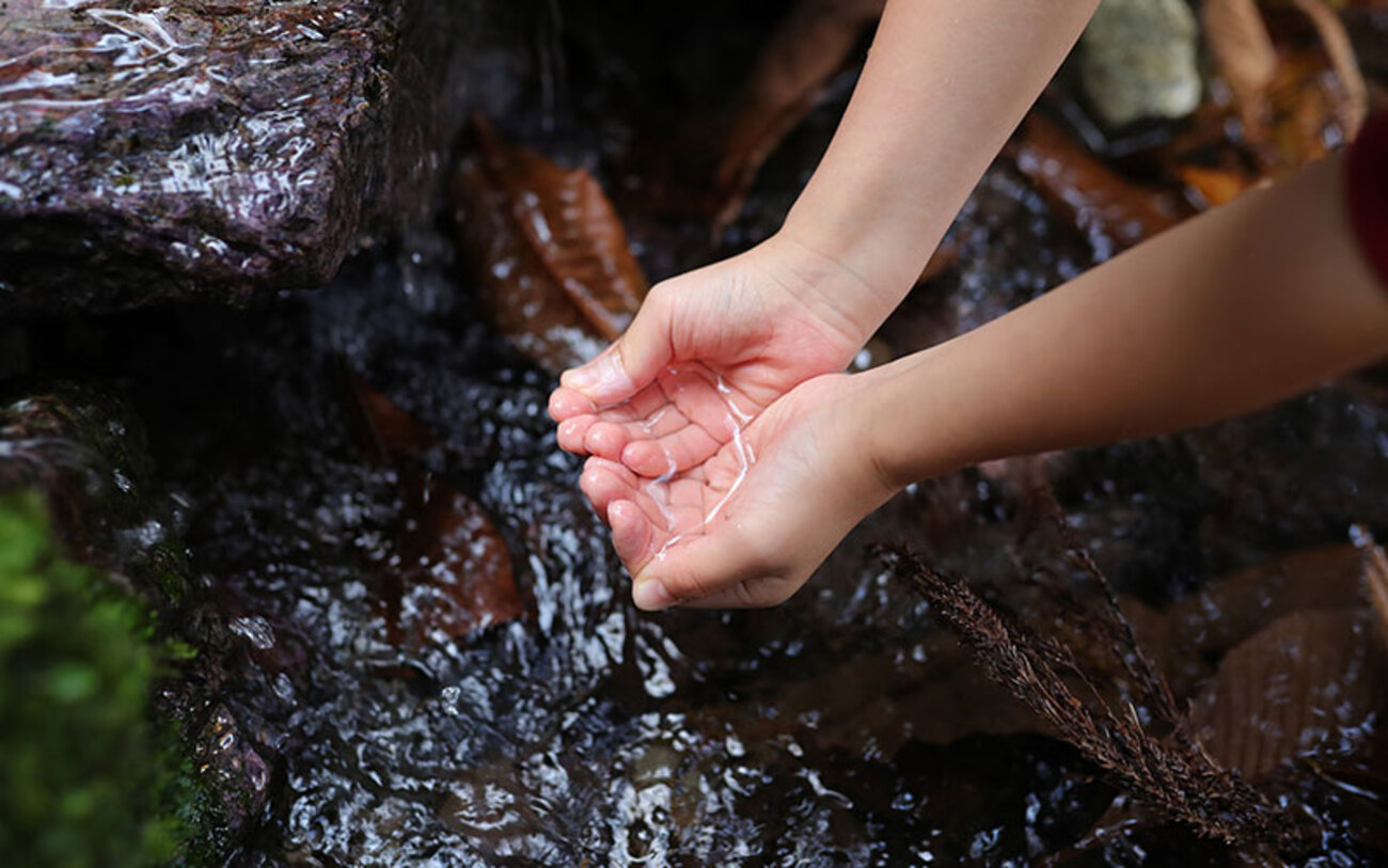 水の綺麗な上林川の流域には多数のほたるが生息しており、初夏には蛍が飛び回ります。