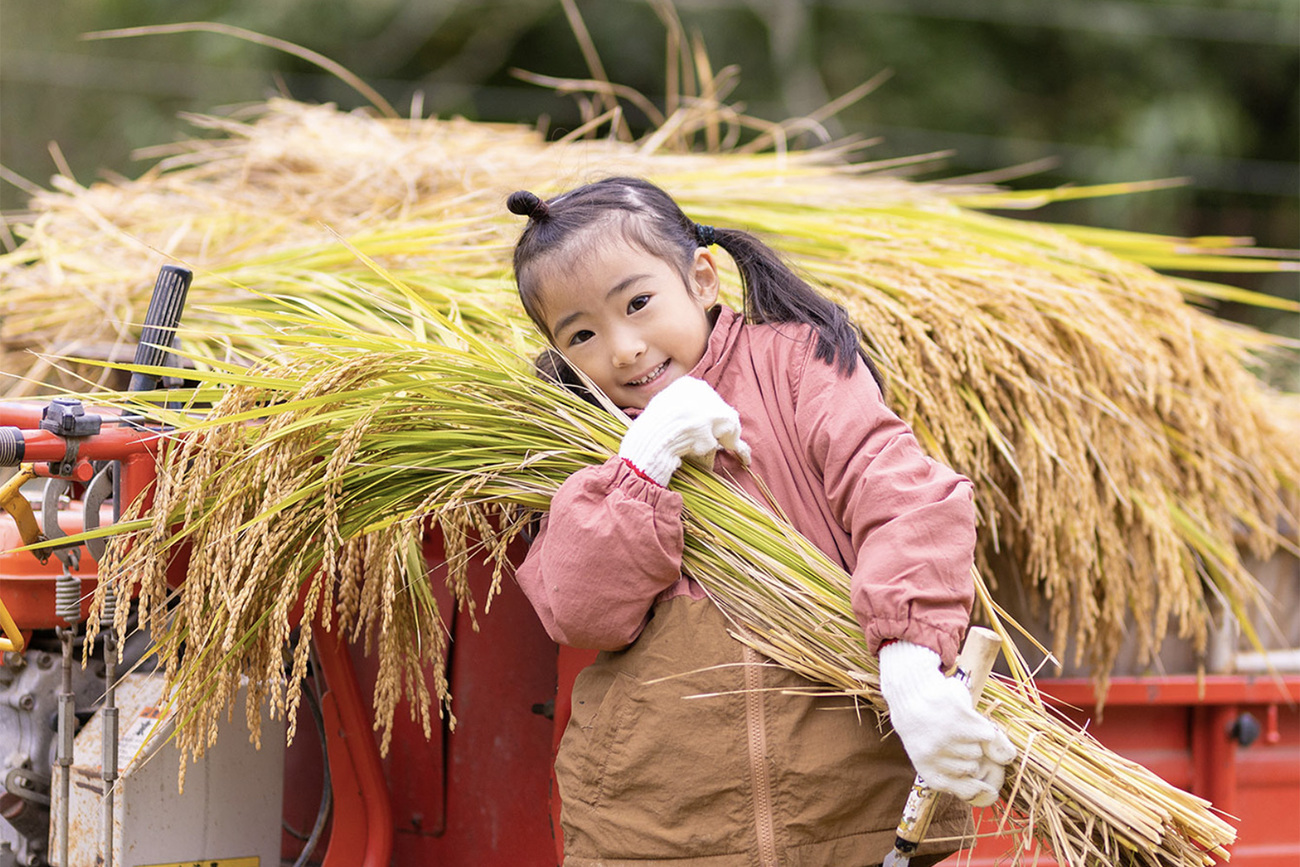 田んぼに囲まれた当館。秋には色づいた稲穂で黄金色の景色に包まれます。