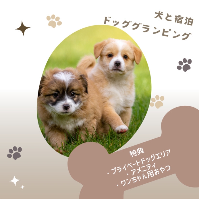 【ワンちゃんと宿泊！BBQプラン】1泊2食＋飲み放題付き