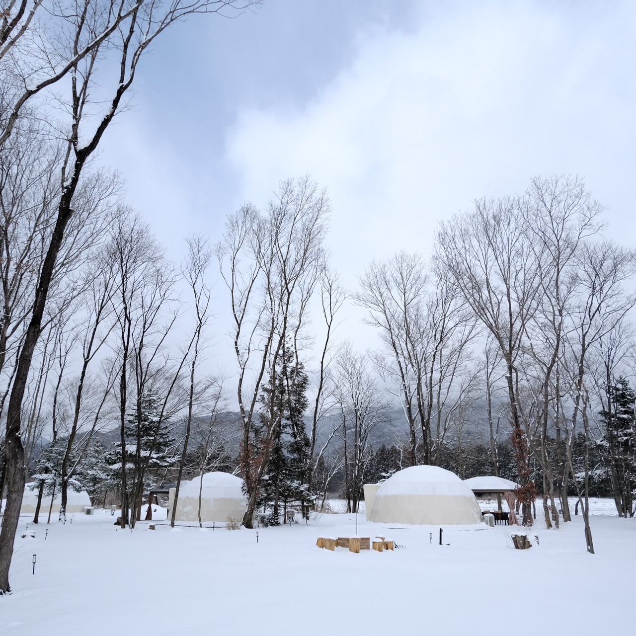冬景色のグランピング