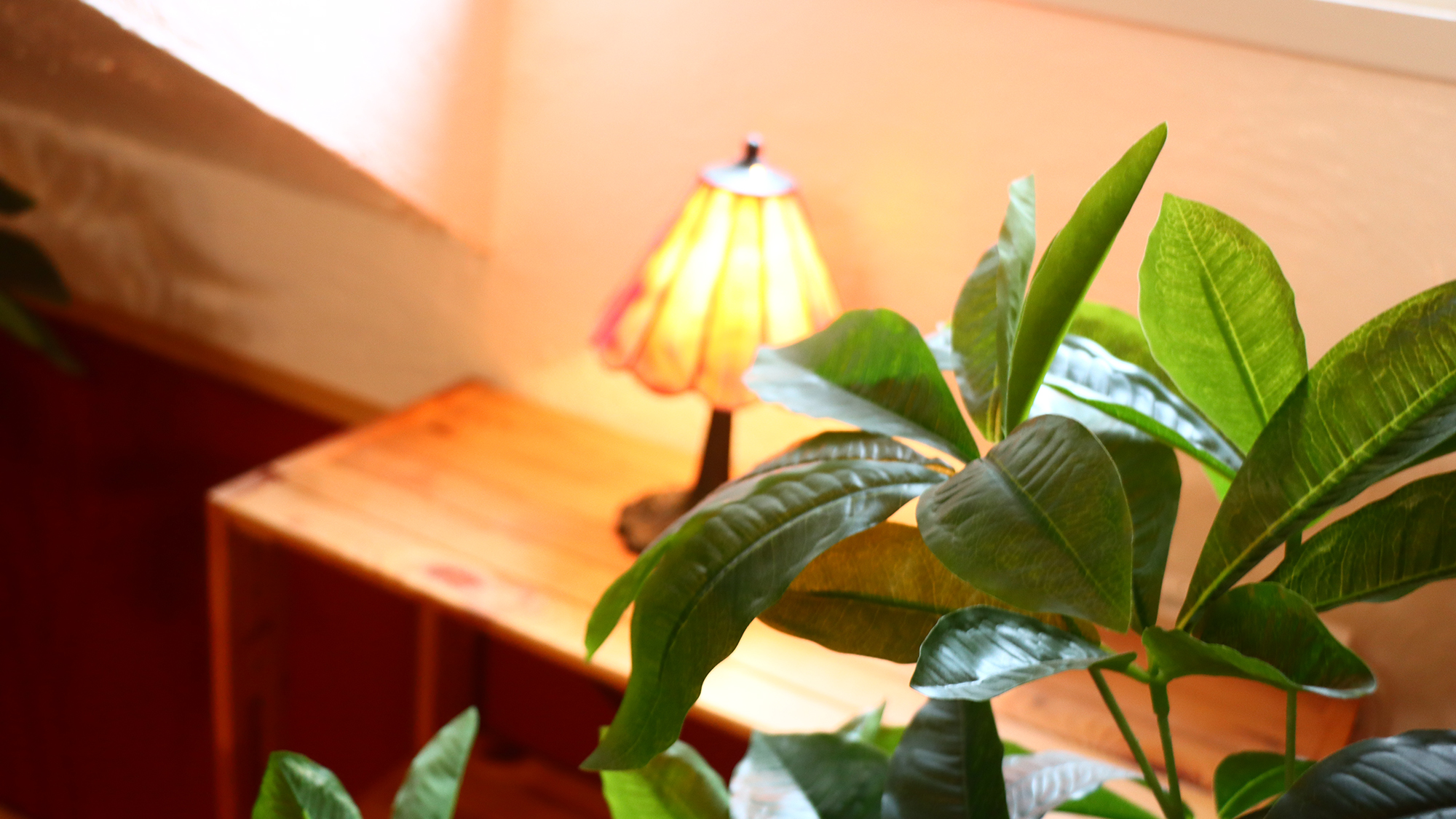 -Single room Images- 