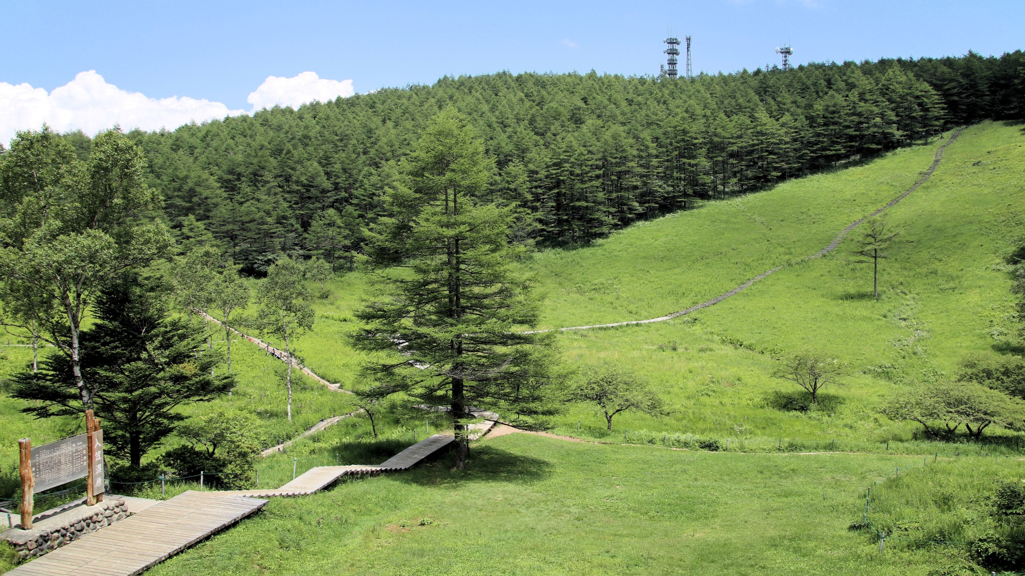 【tourist spot】富士見パノラマリゾート。入笠湿原。