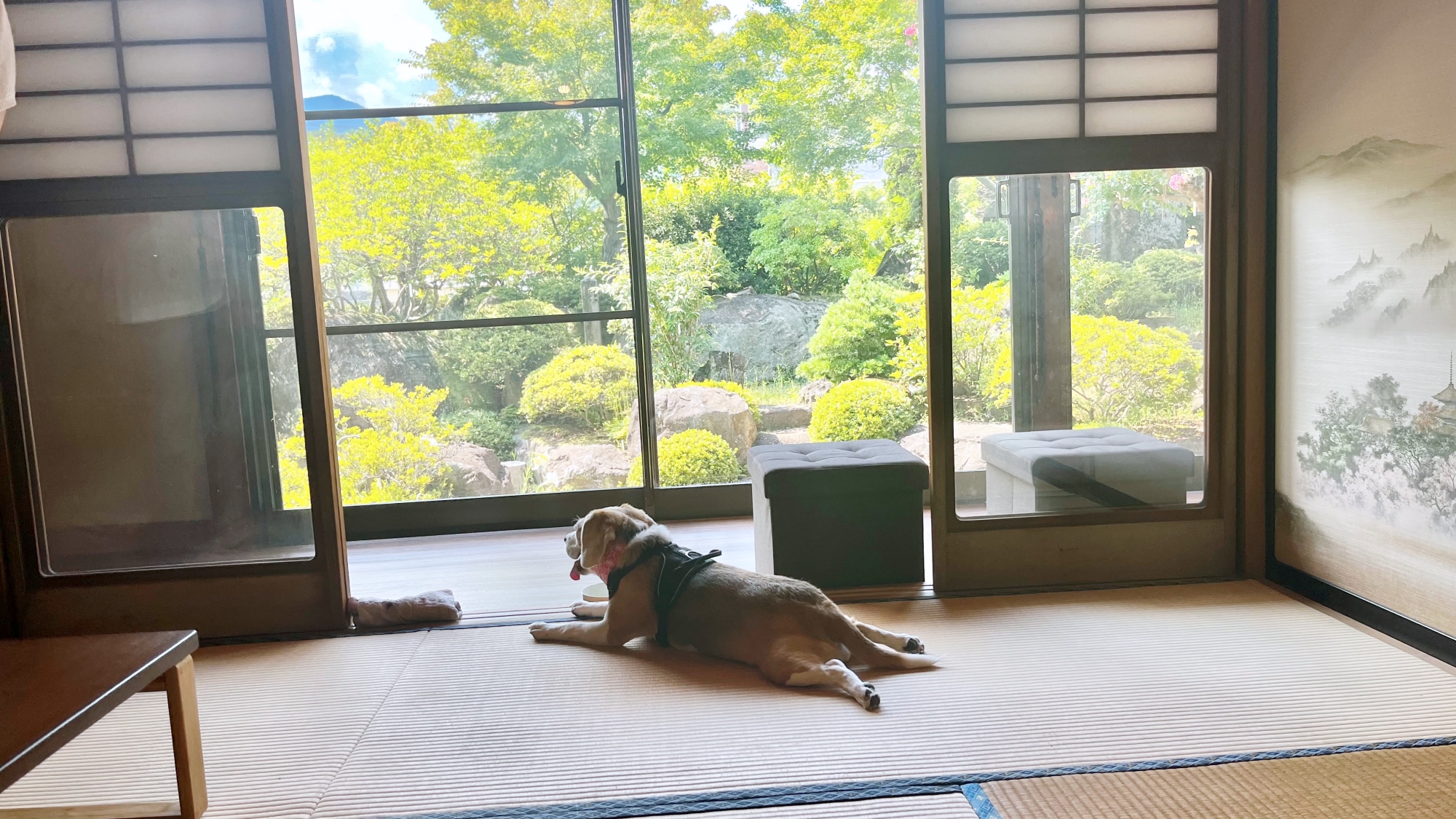＊＜庭園の家＞部屋（一例）ワンちゃんとお部屋でご一緒にお寛ぎください