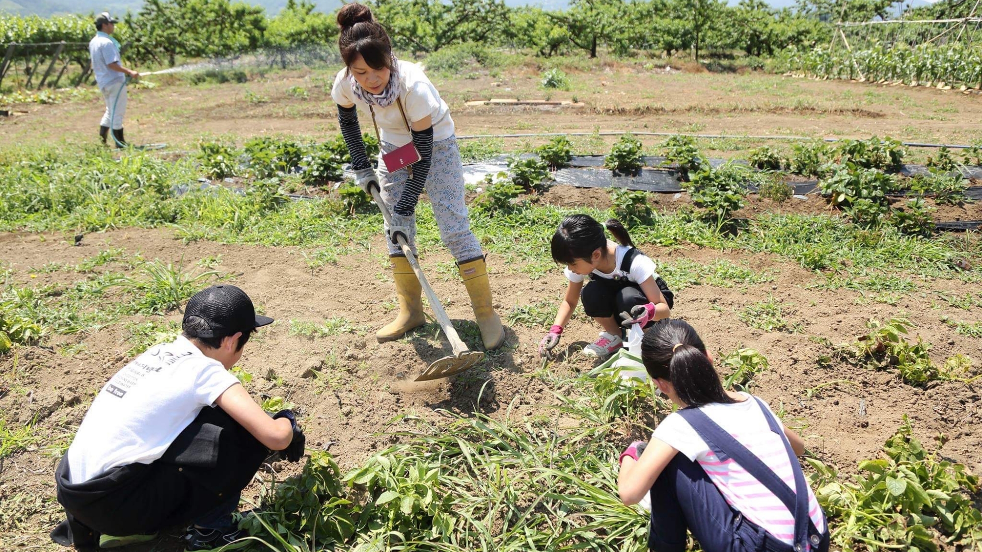 ＊農業体験（一例）山梨で農泊体験！自分で収穫した野菜を使って、お料理を作ることもできます